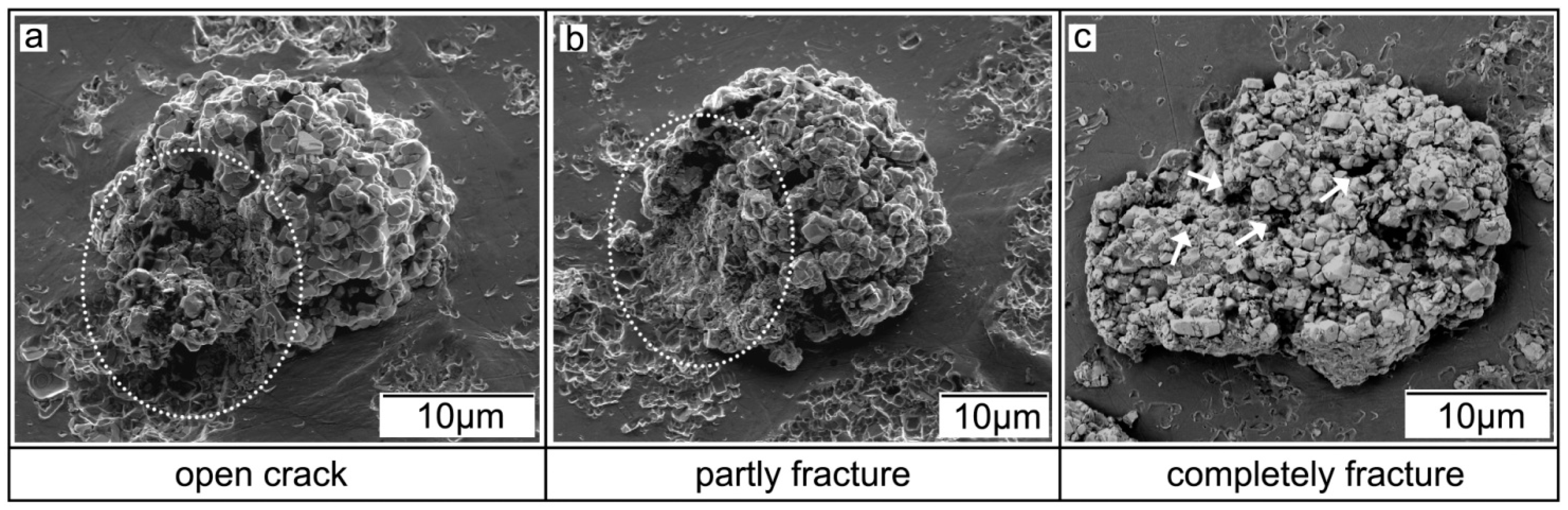 Coatings 08 00367 g005