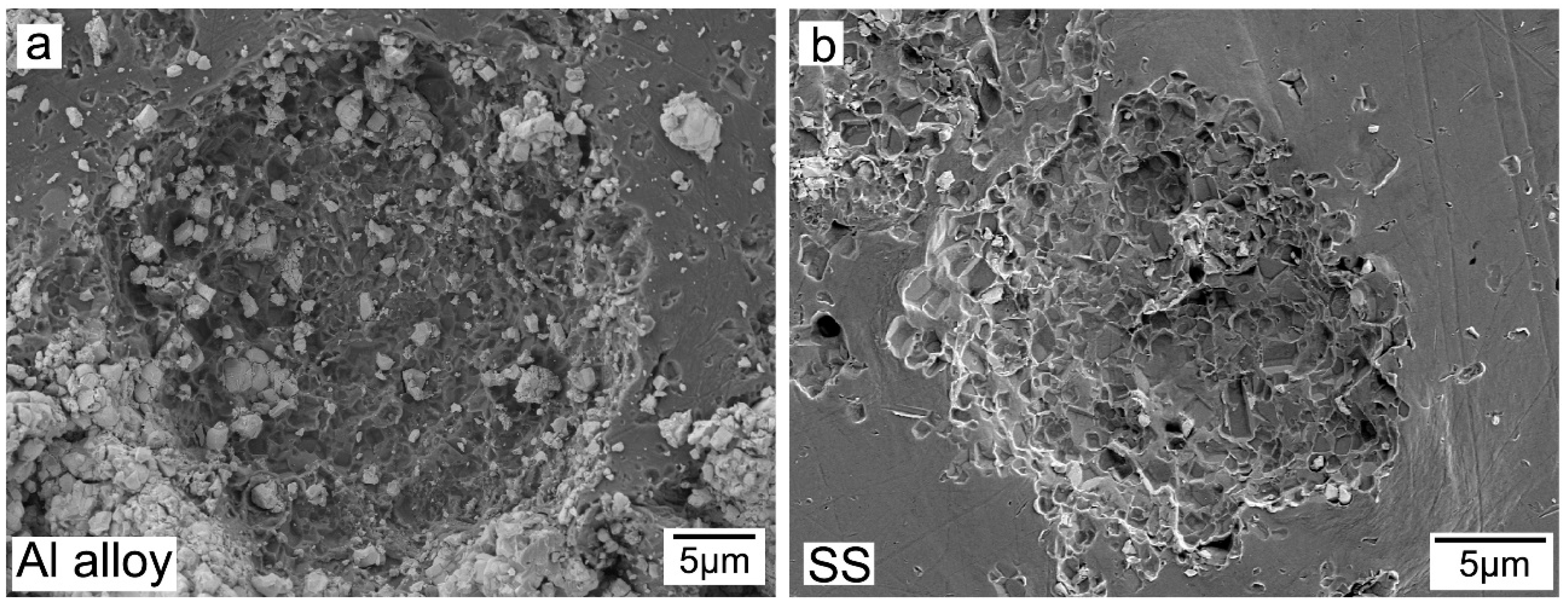 Coatings 08 00367 g008