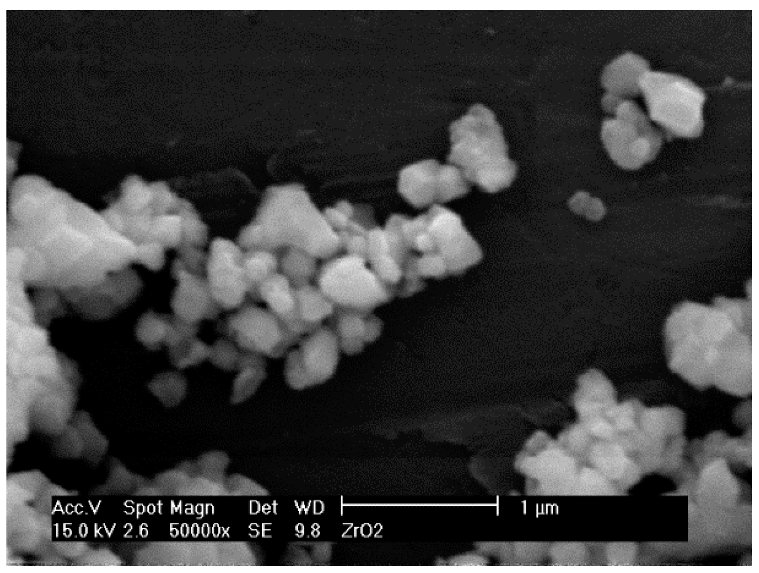 Coatings 08 00368 g001