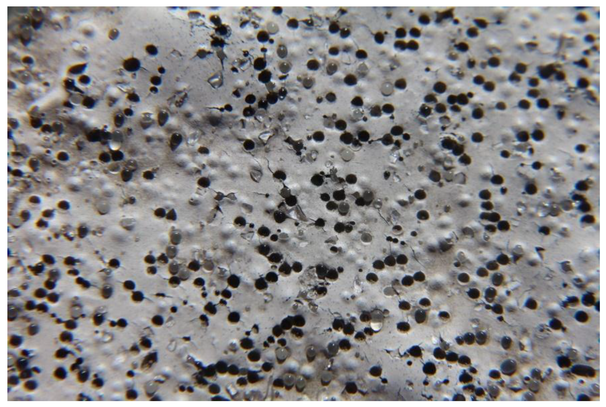 Coatings 08 00371 g013 Coatings 08 00371 g013