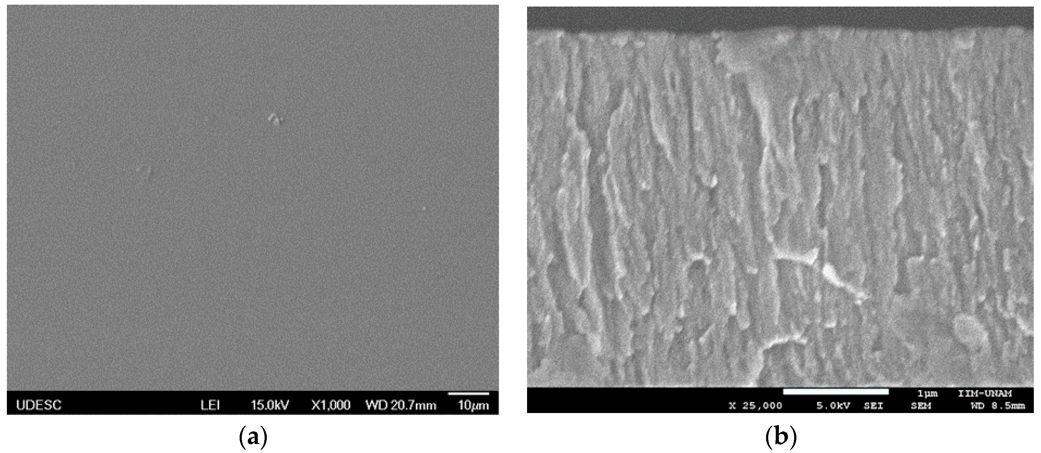 Coatings 08 00381 g003 Coatings 08 00381 g003