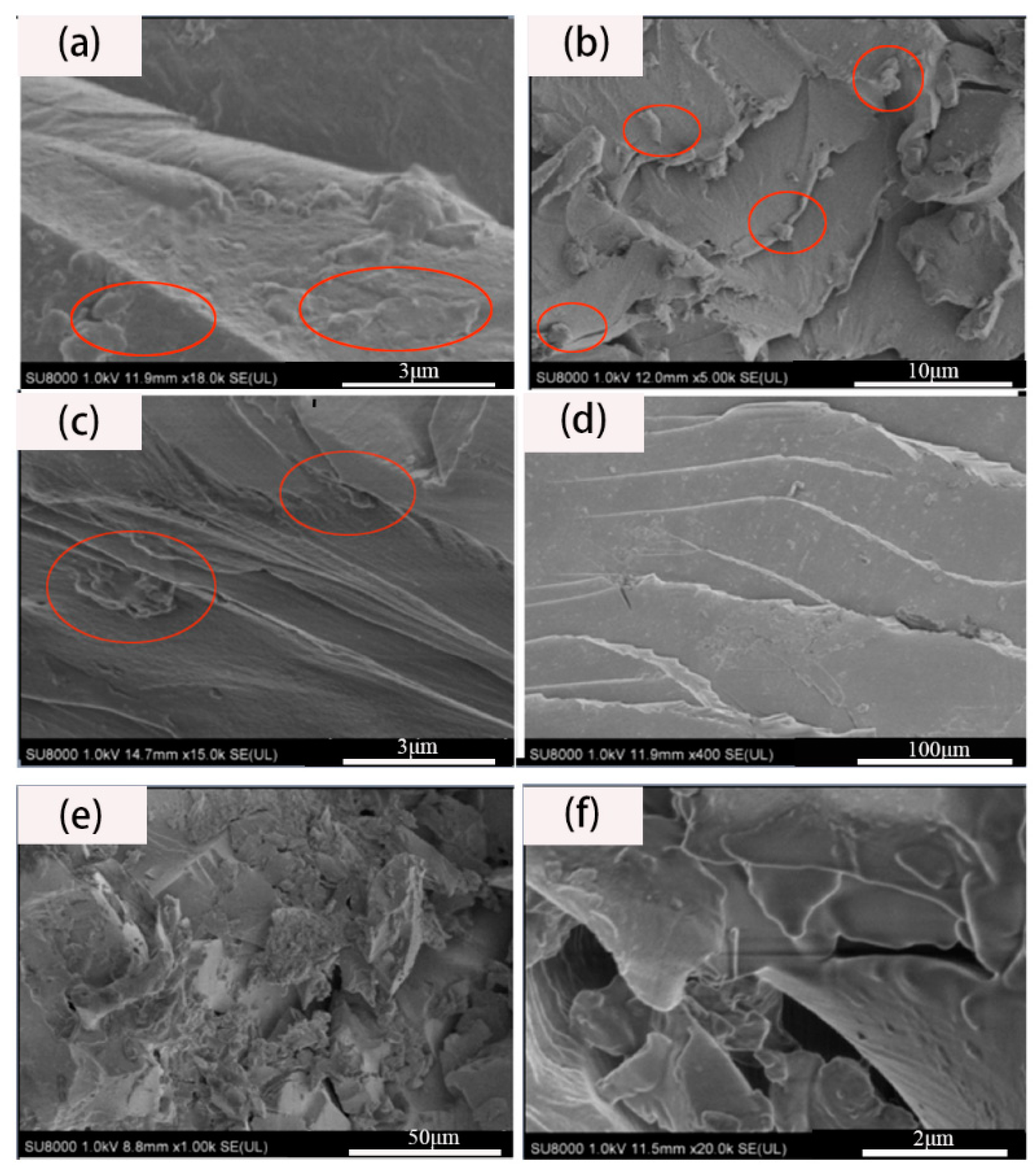 Coatings 08 00387 g009
