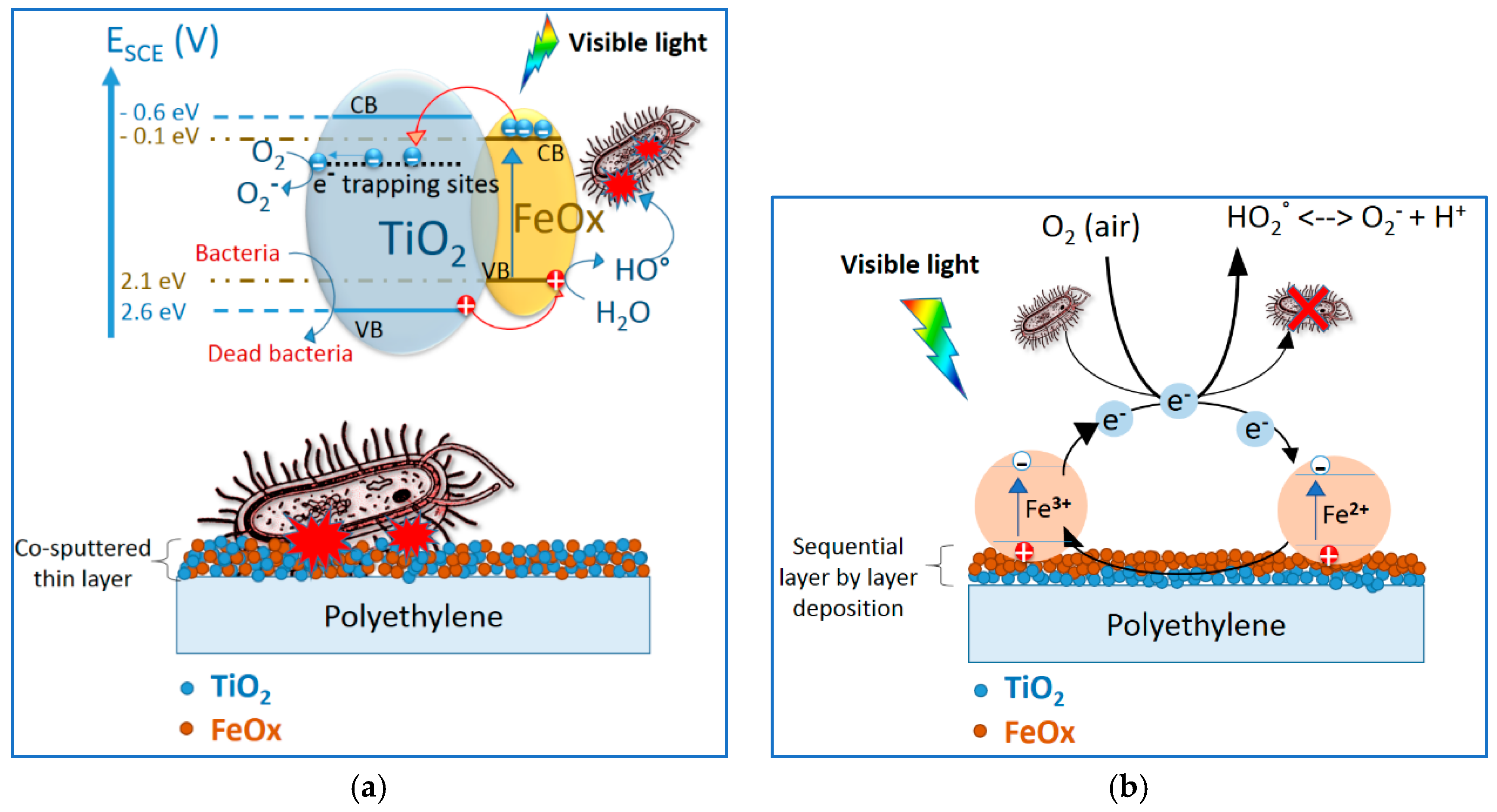 Coatings 08 00391 g008