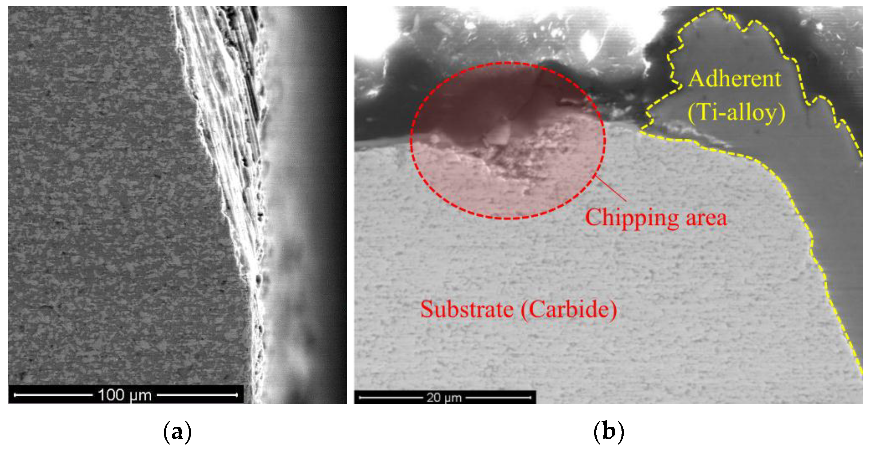 Coatings 08 00395 g008 Coatings 08 00395 g008