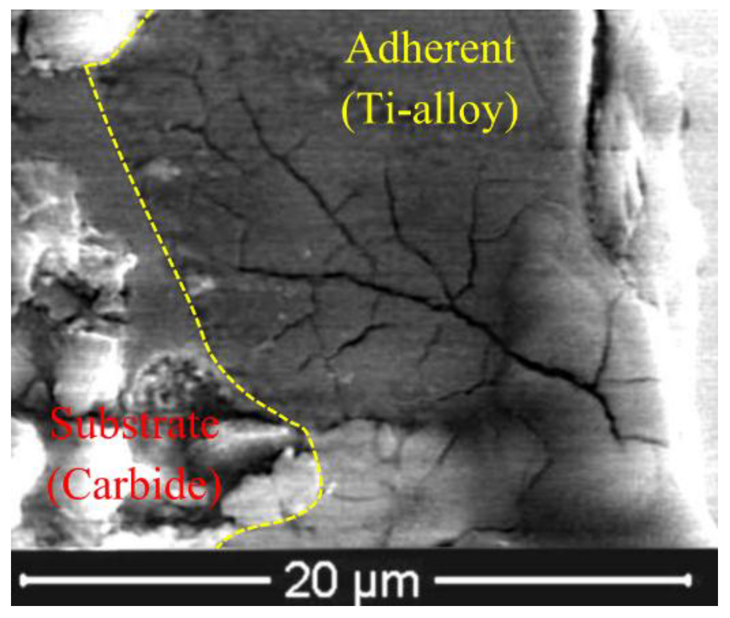 Coatings 08 00395 g009 Coatings 08 00395 g009