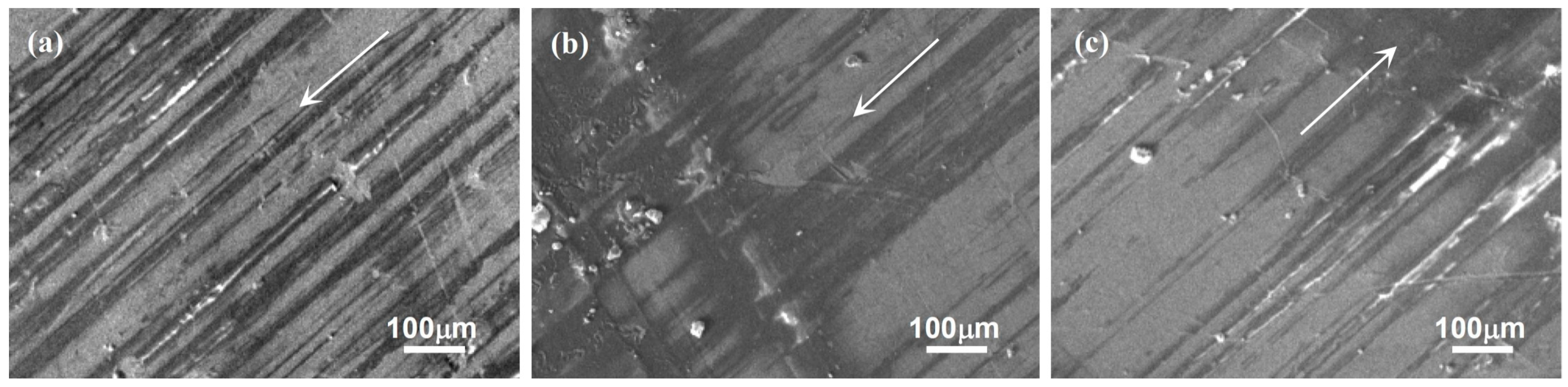 Coatings 08 00399 g004