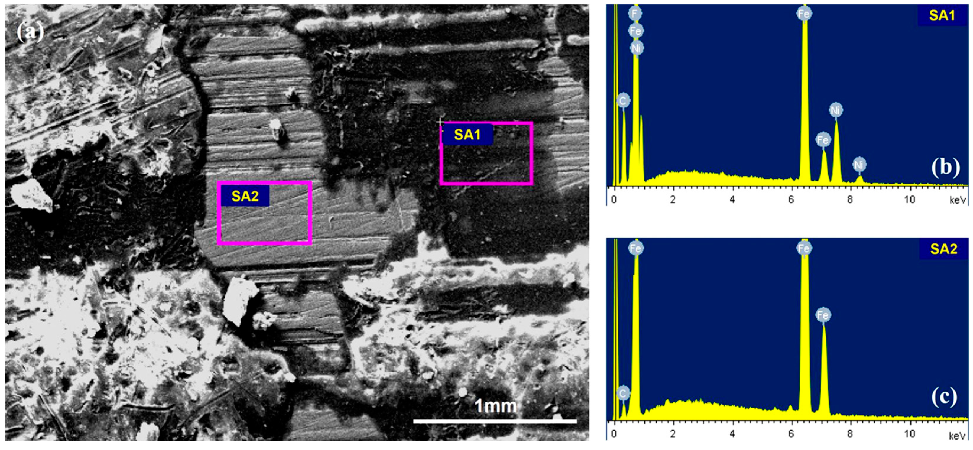 Coatings 08 00399 g005