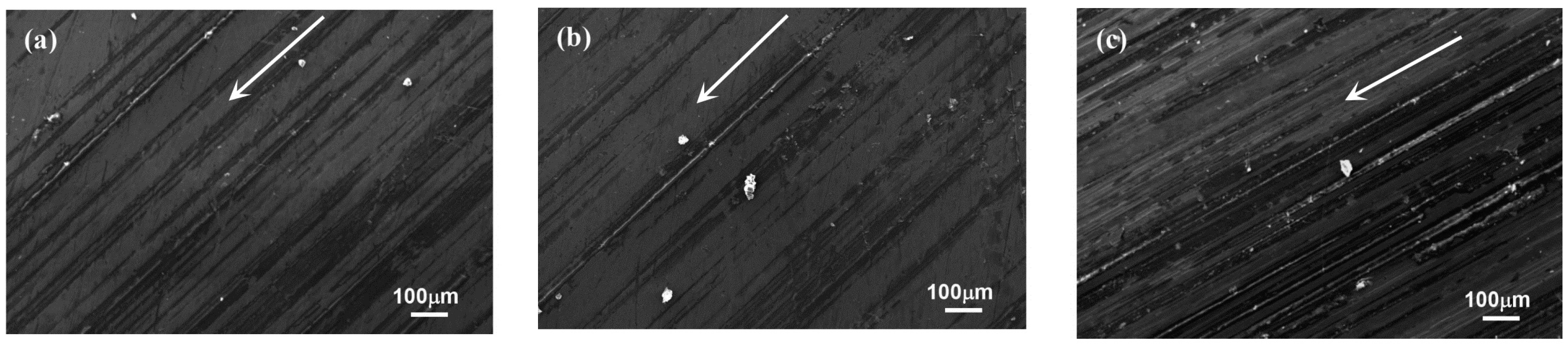 Coatings 08 00399 g008