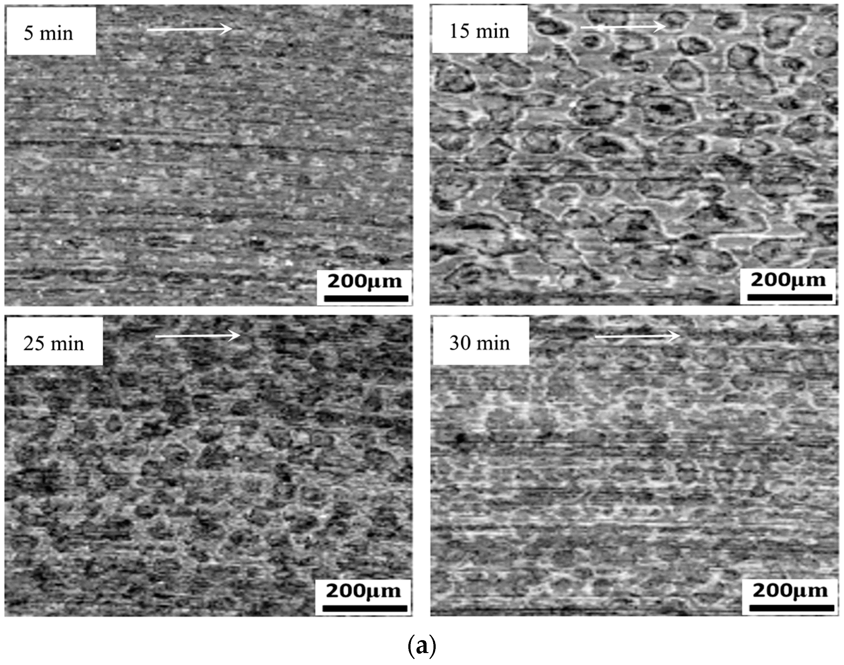 Coatings 08 00399 g010a