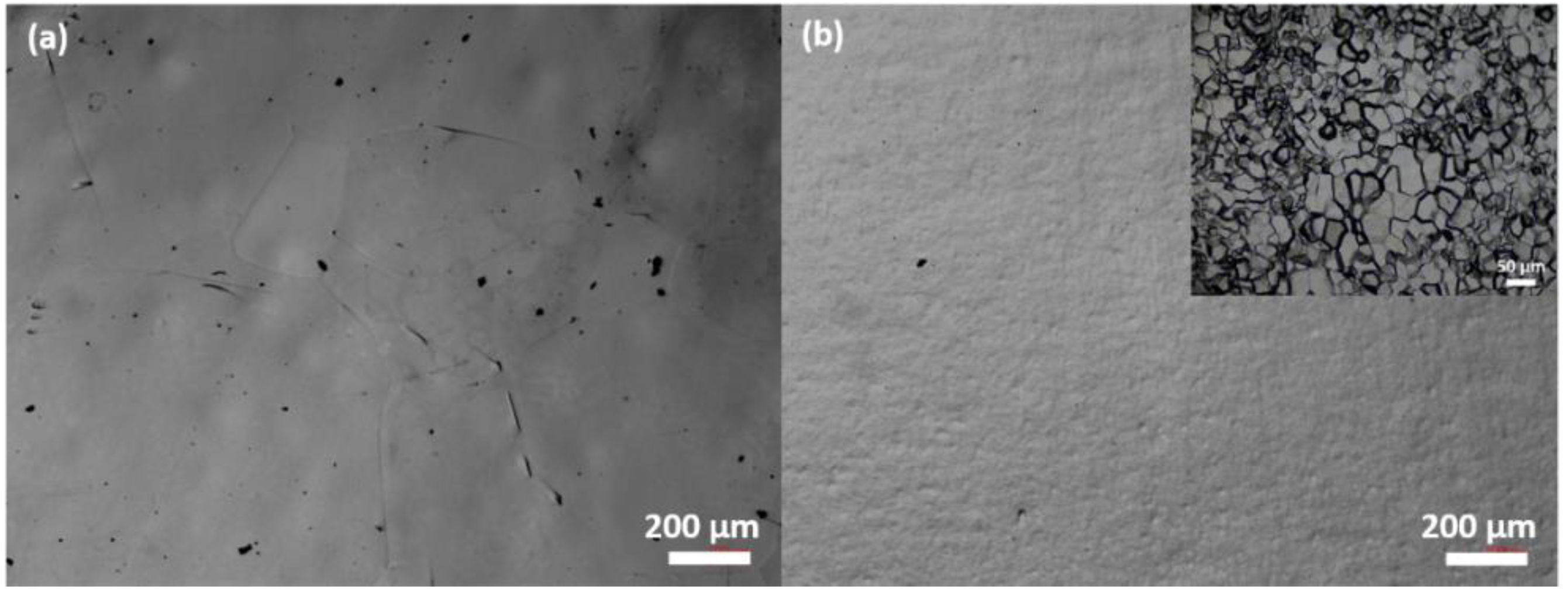 Coatings 08 00420 g001