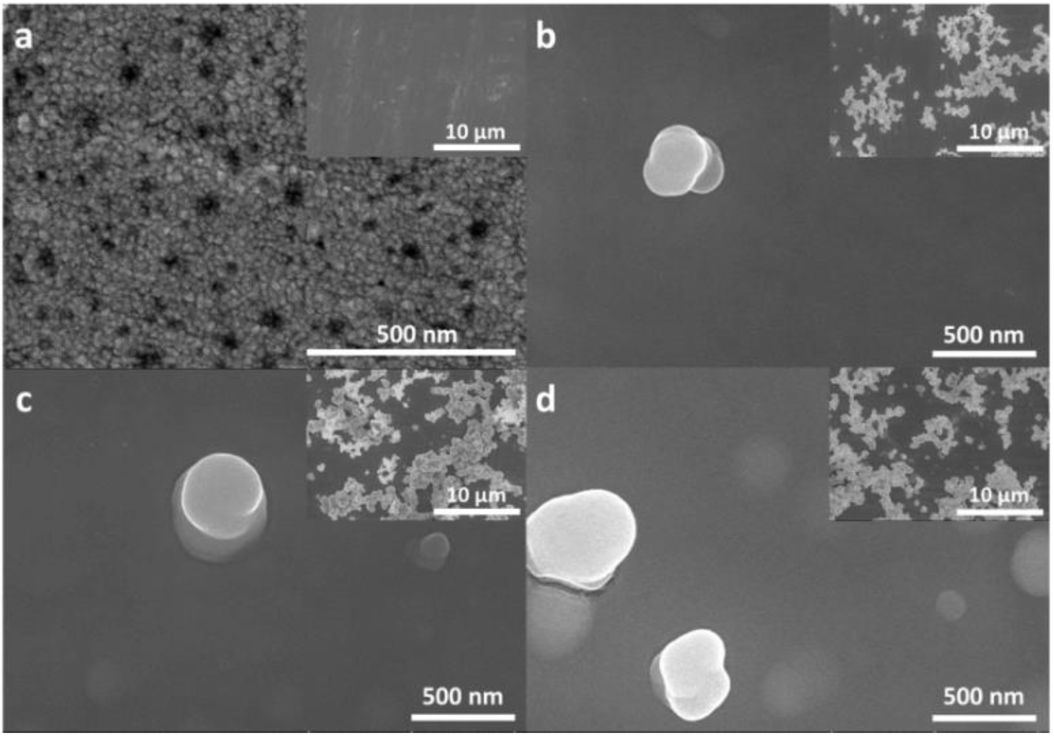 Coatings 08 00420 g002