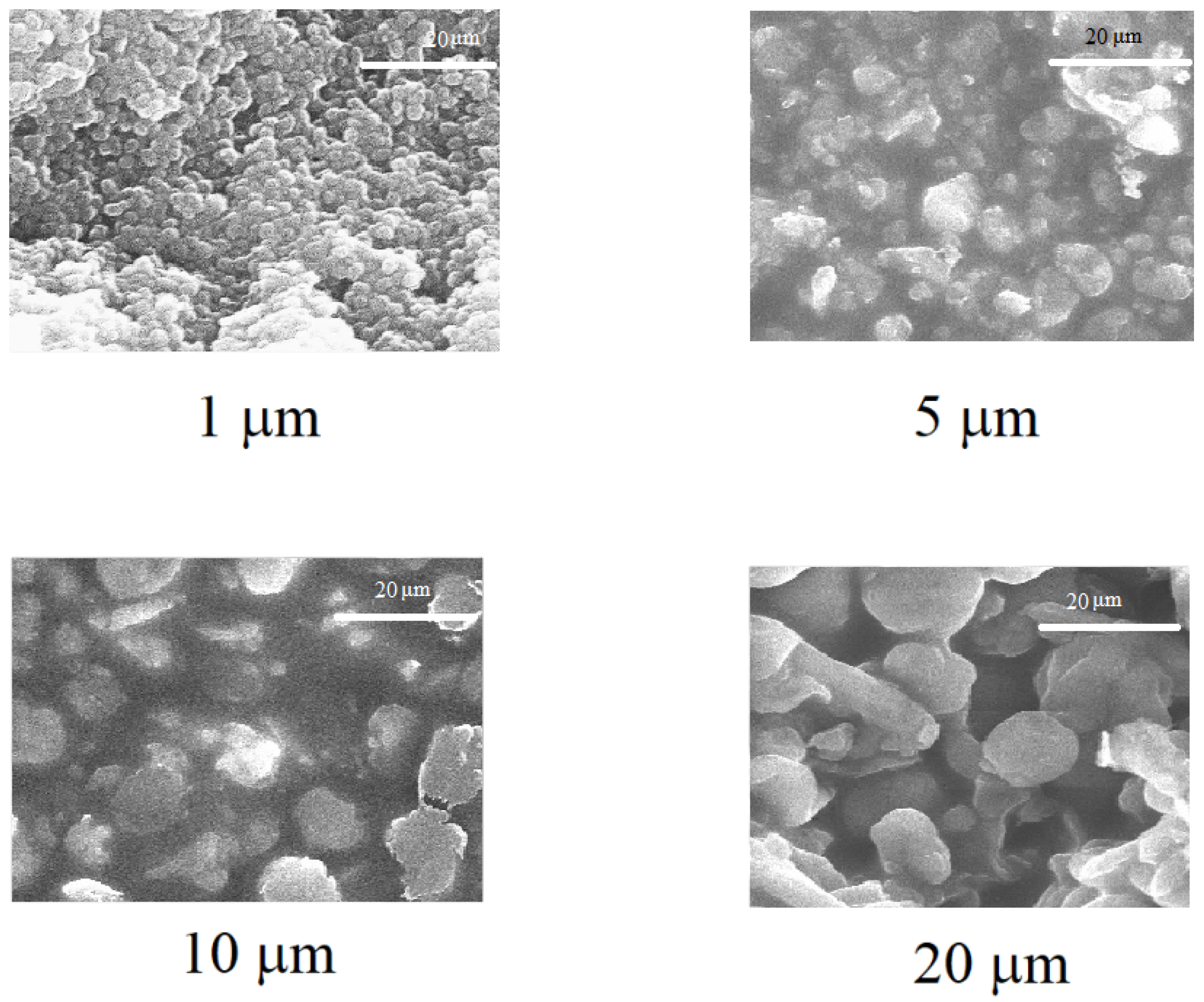 Coatings 08 00426 g005