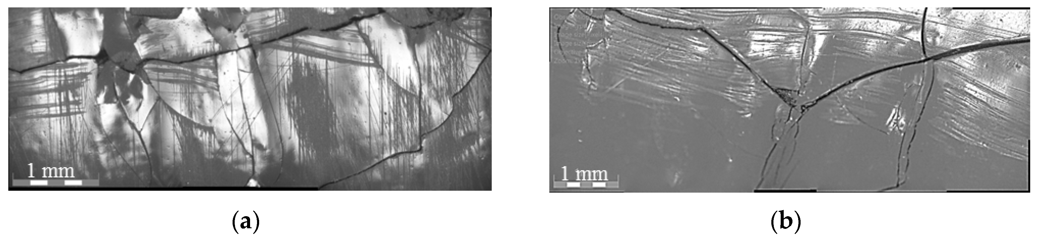 Coatings 08 00428 g005