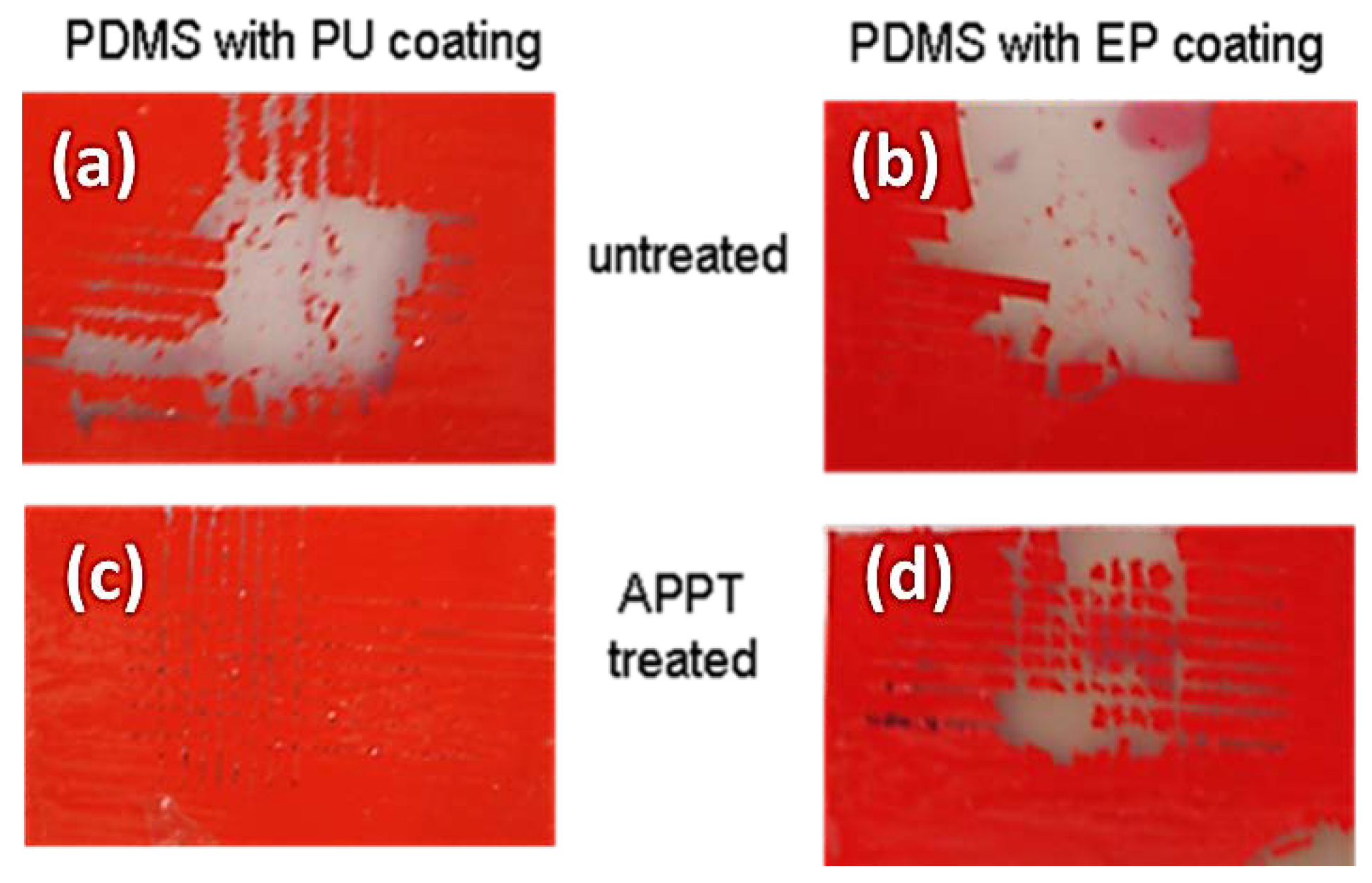 Coatings 08 00428 g007
