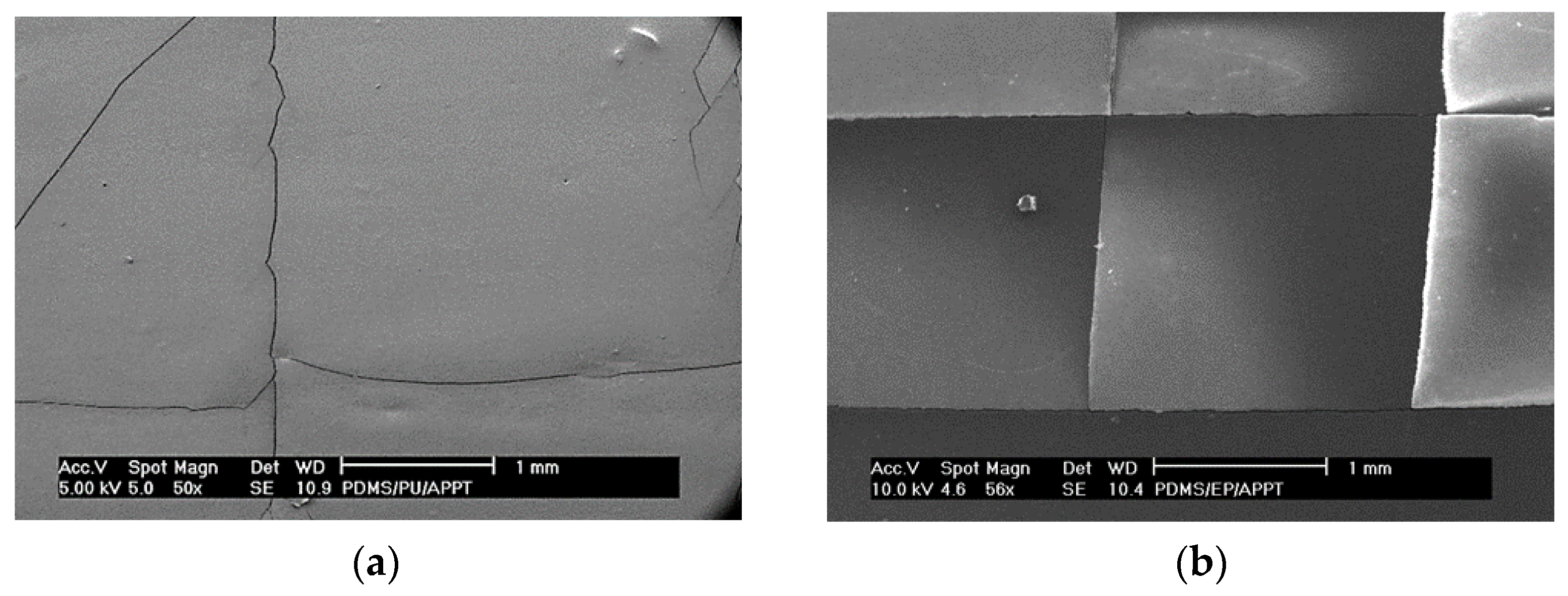 Coatings 08 00428 g008