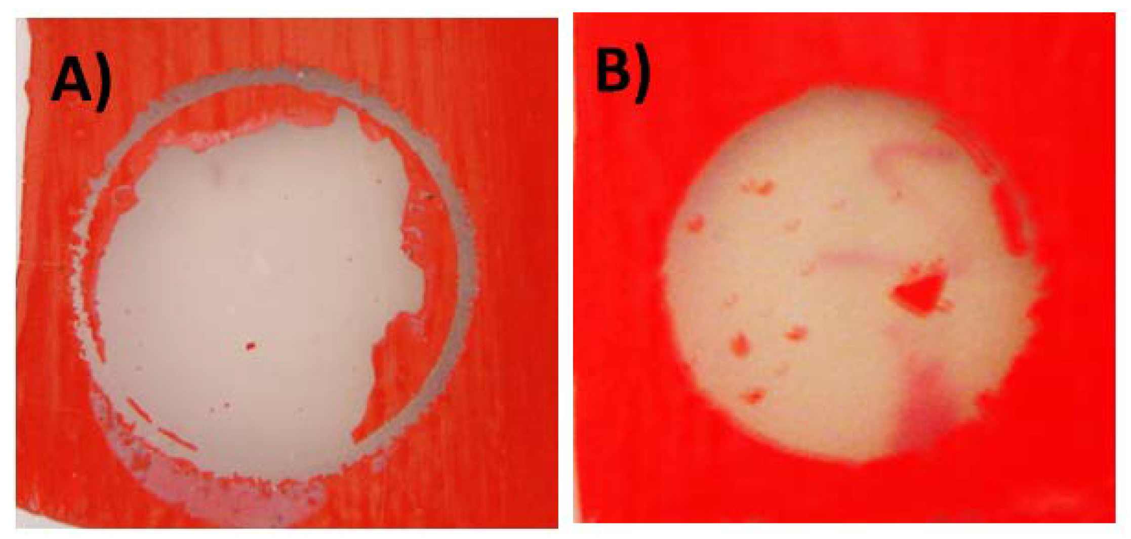 Coatings 08 00428 g011