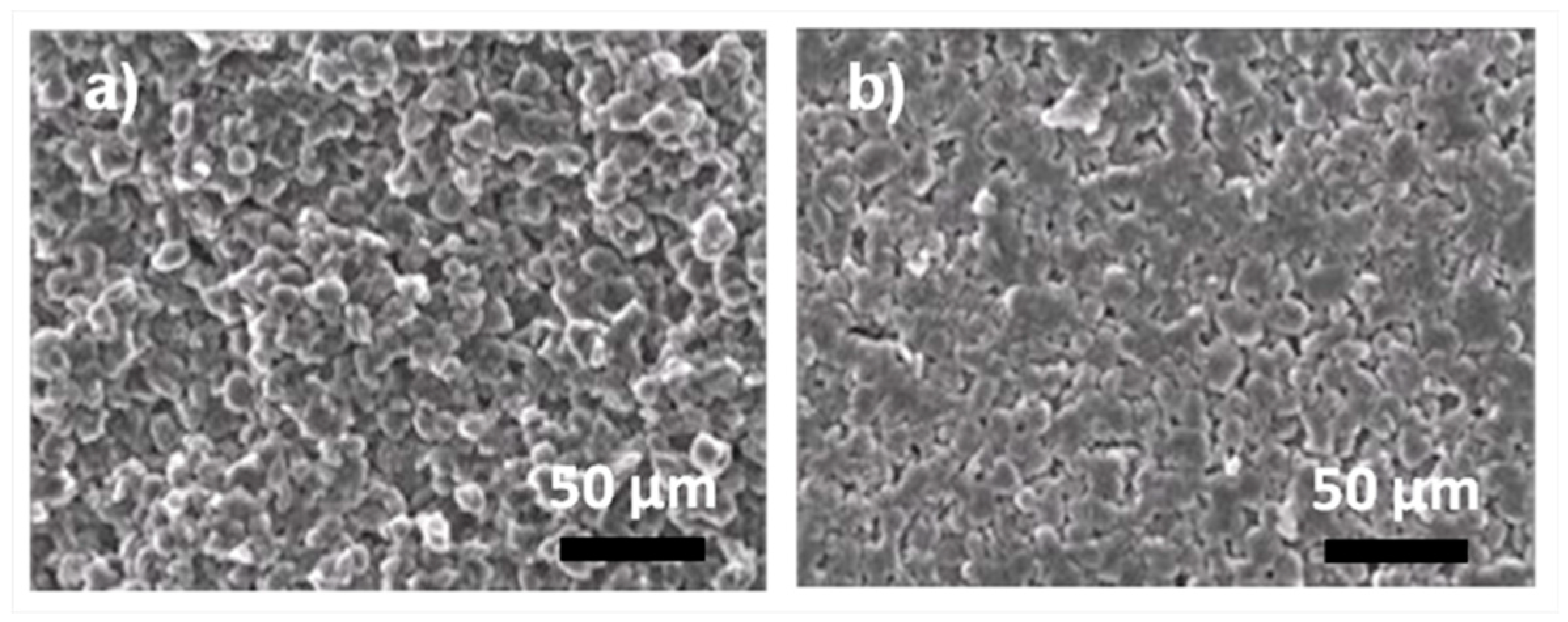 Coatings 08 00437 g005 Coatings 08 00437 g005