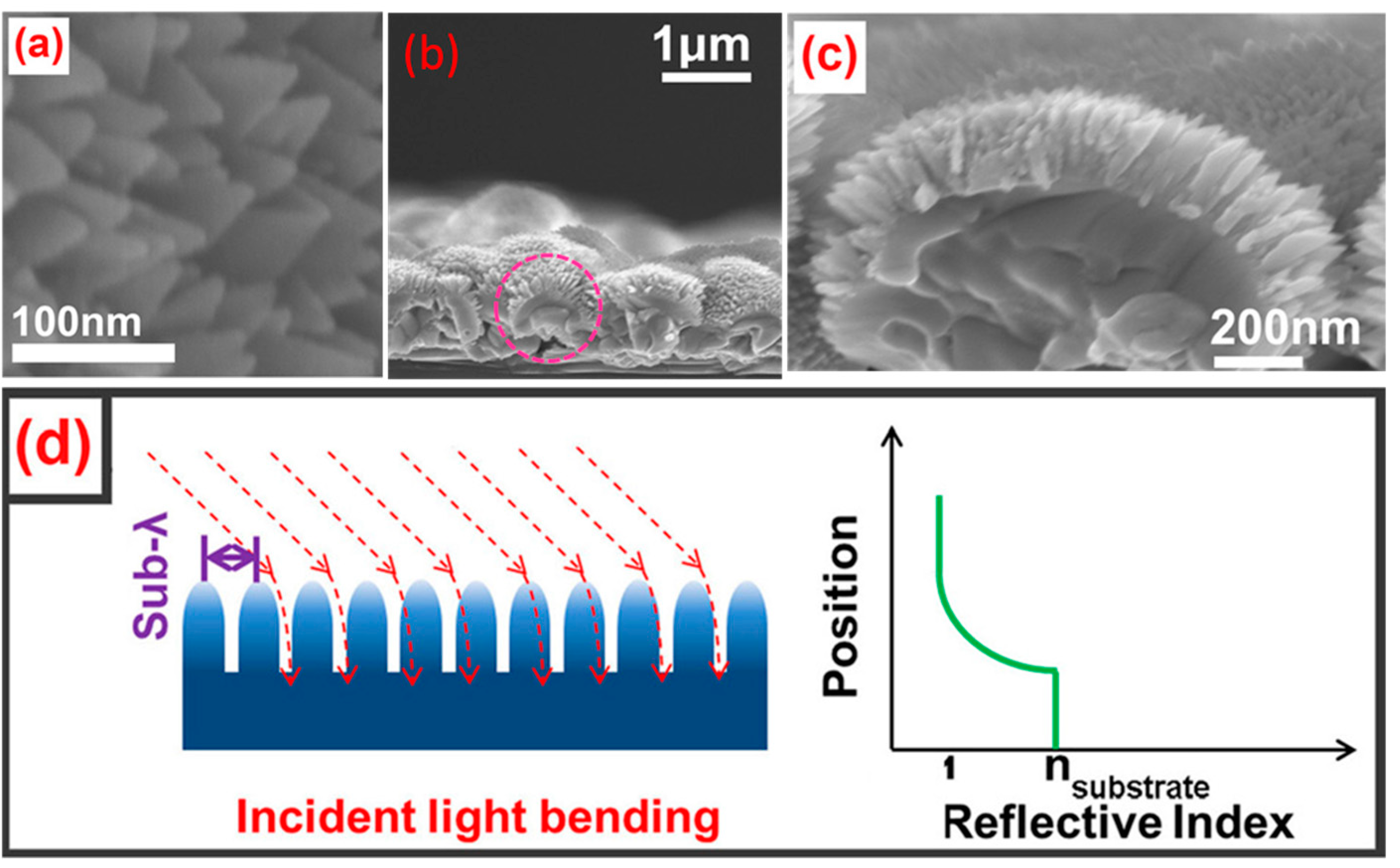 Coatings 08 00444 g011