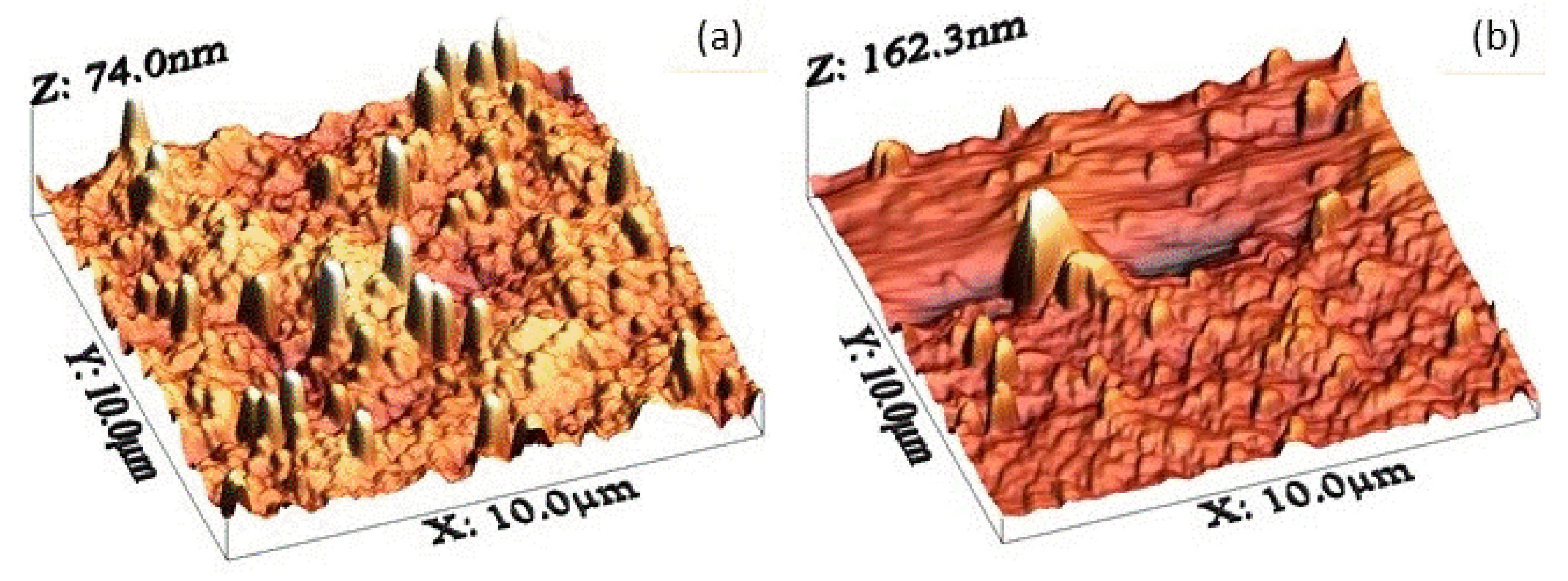 Coatings 08 00449 g002