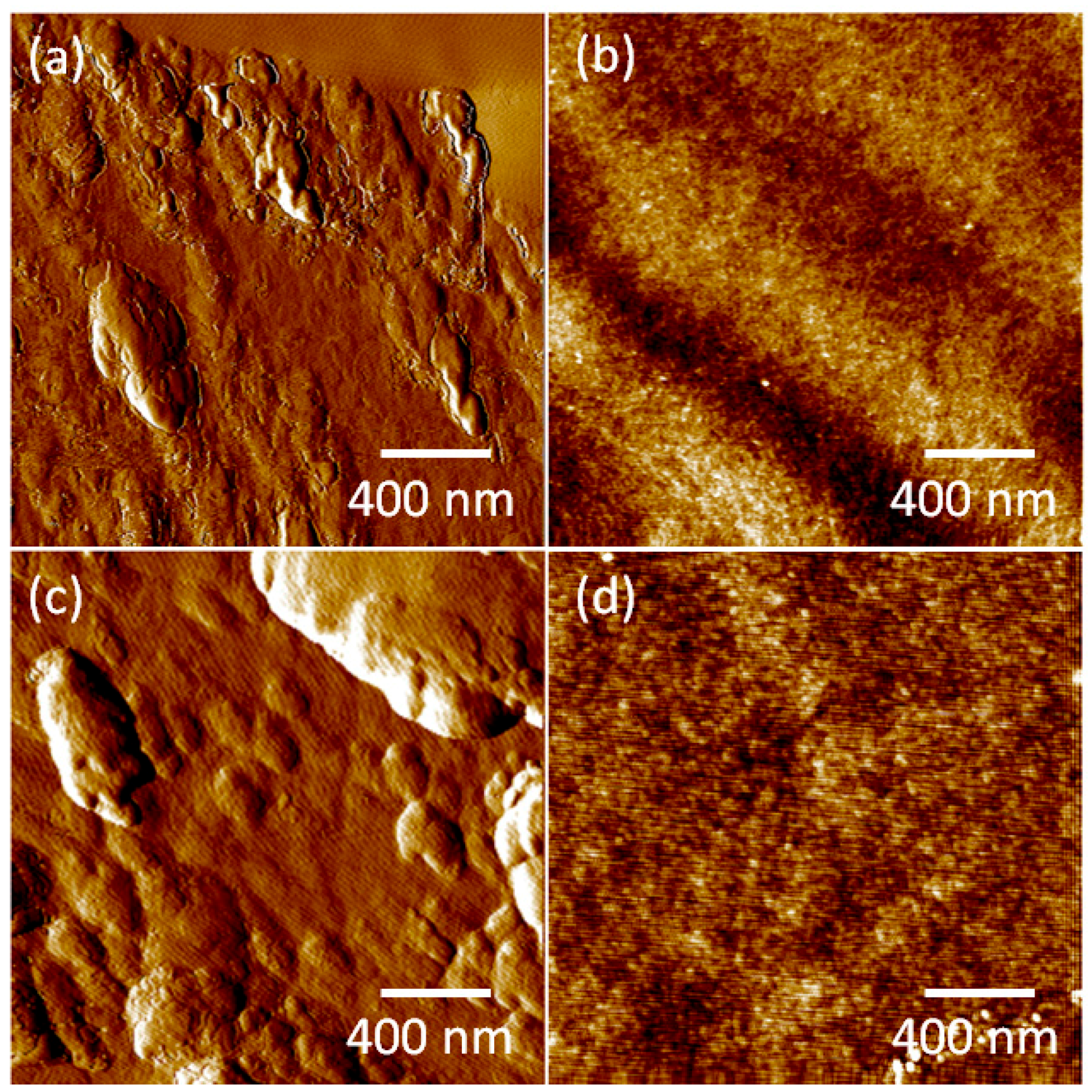 Coatings 08 00454 g001