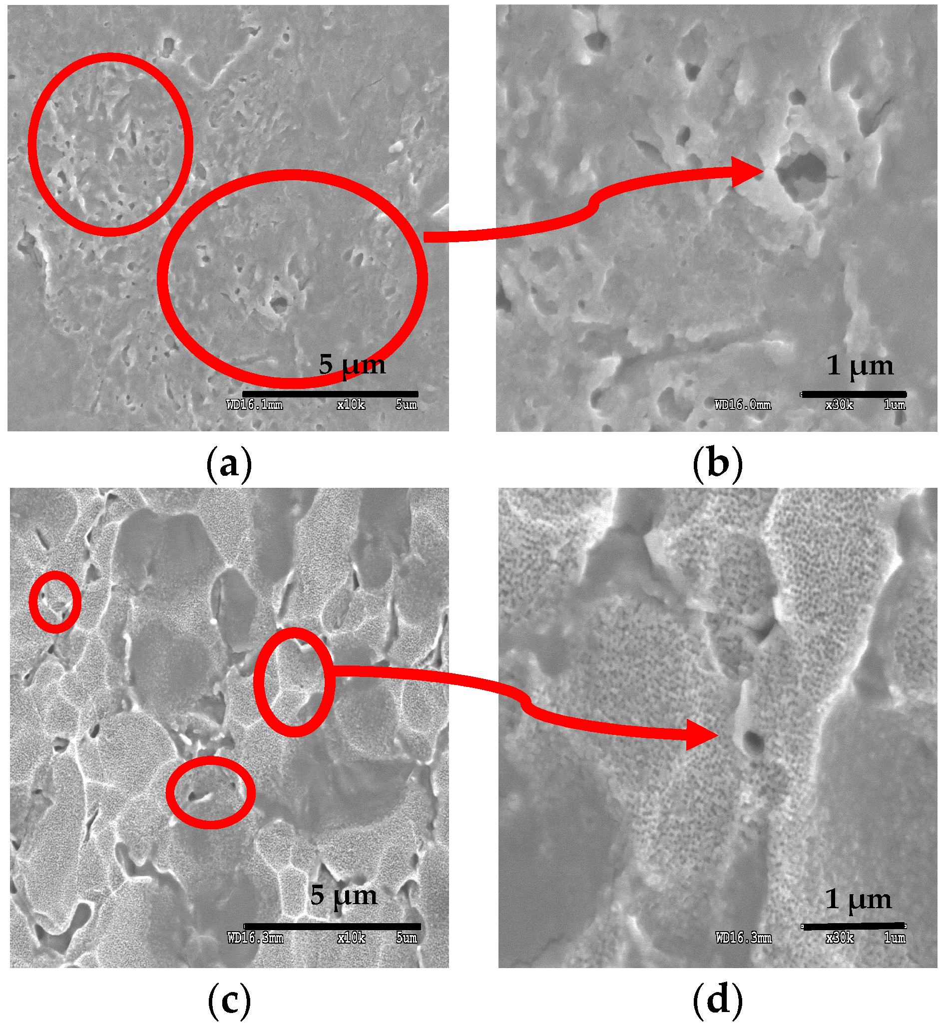 Coatings 08 00459 g016