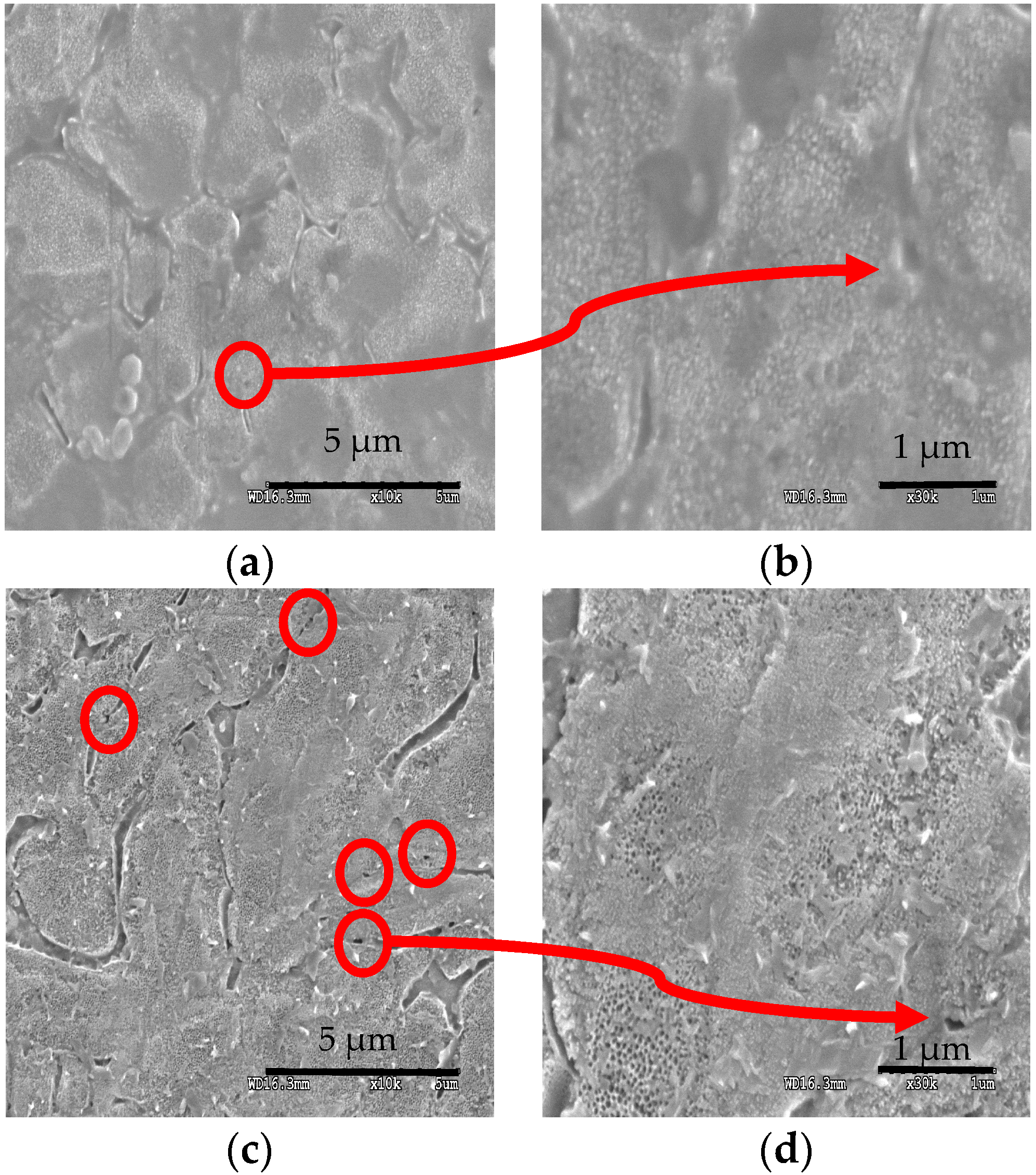 Coatings 08 00459 g017