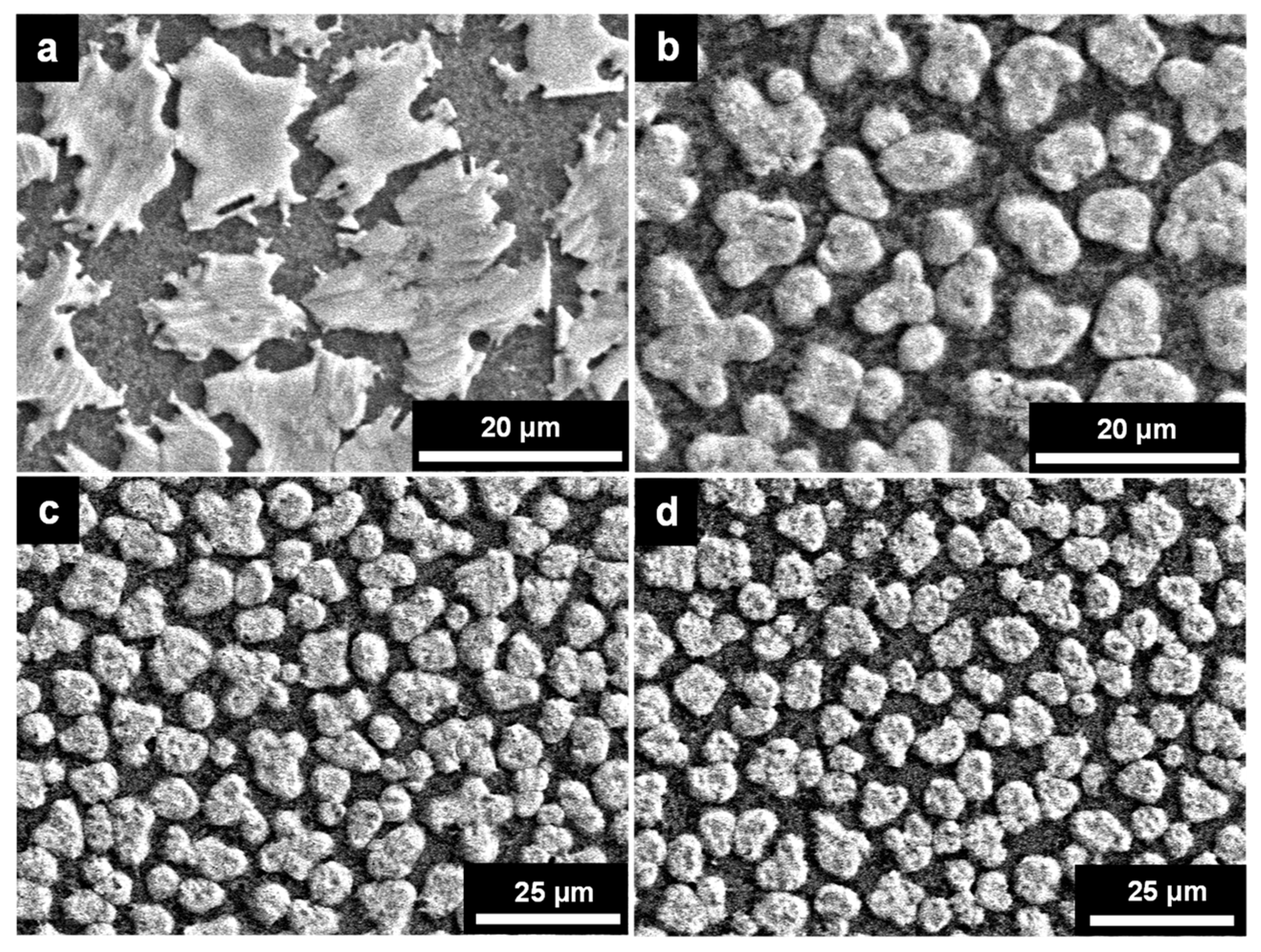 Coatings 08 00461 g004 Coatings 08 00461 g004