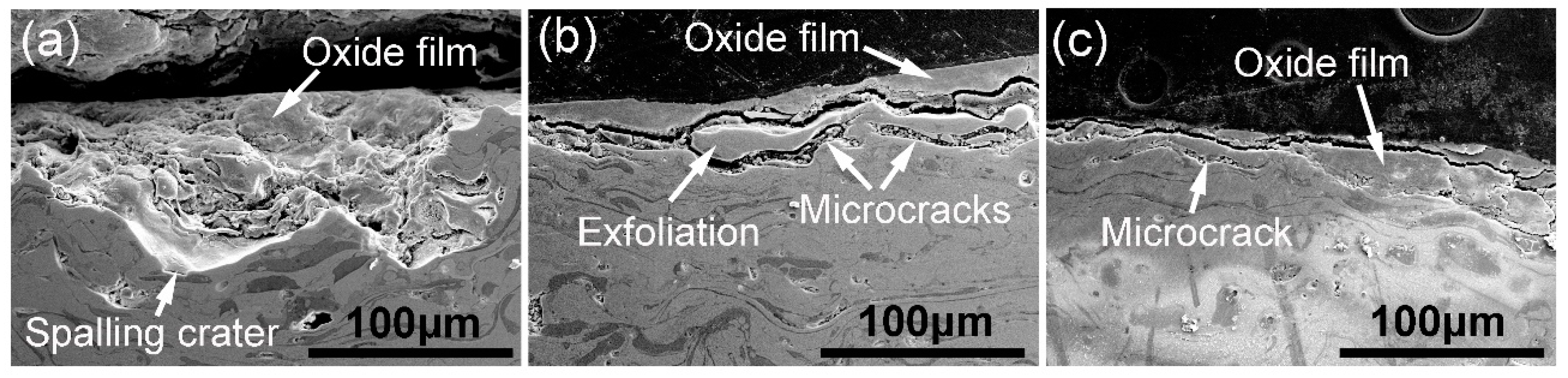 Coatings 08 00463 g005 Coatings 08 00463 g005