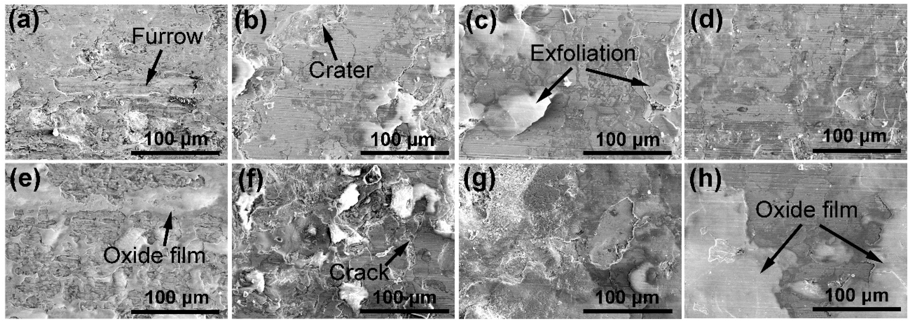 Coatings 08 00463 g006 Coatings 08 00463 g006