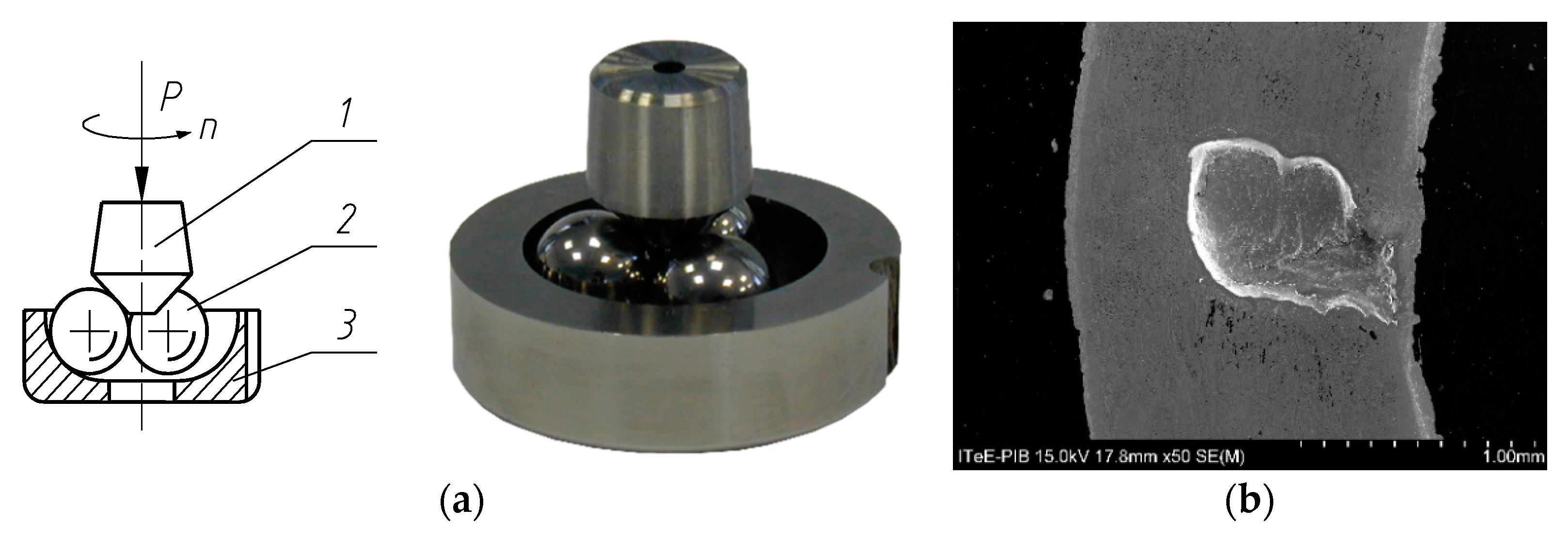 Coatings 09 00002 g002