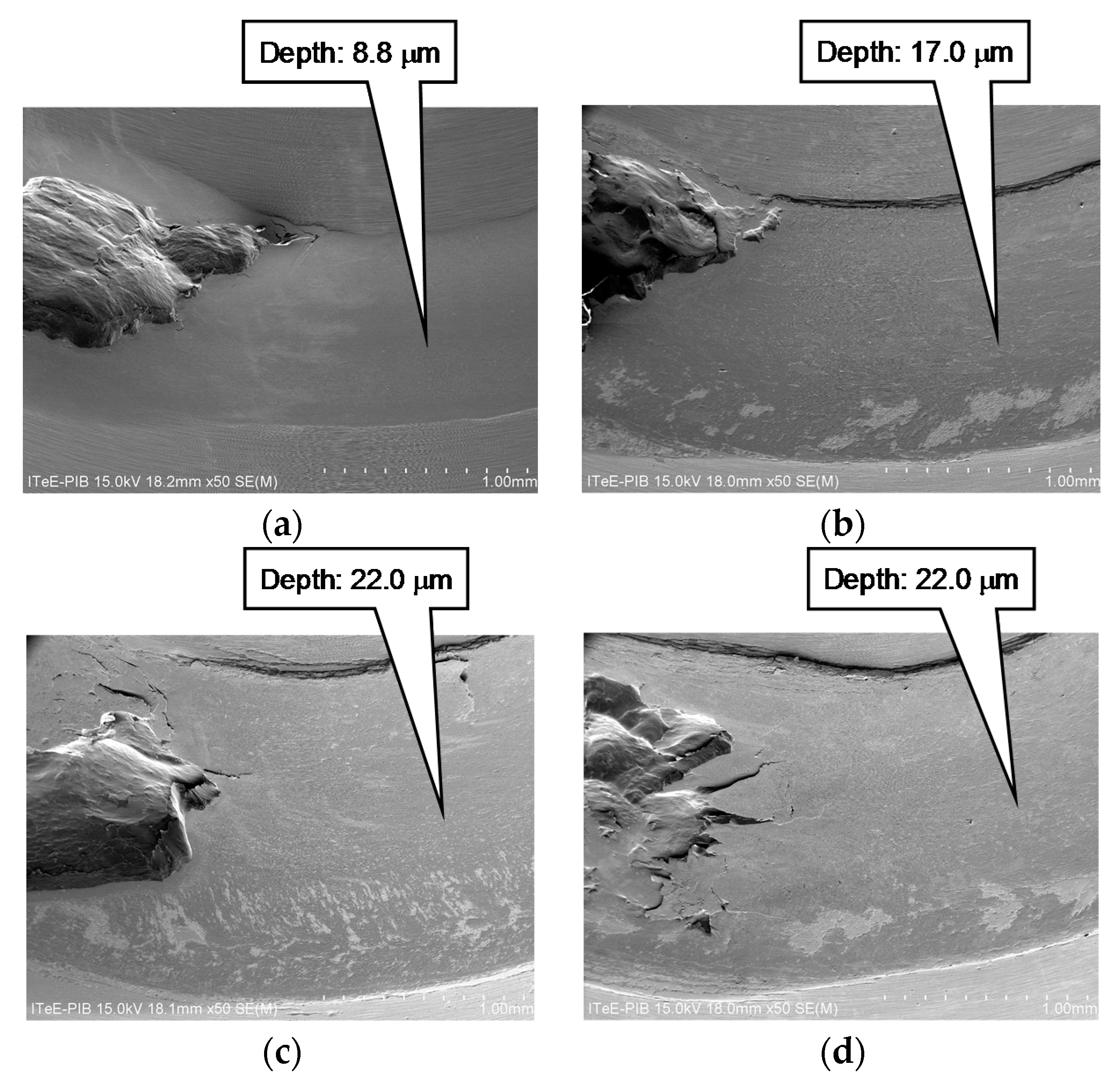 Coatings 09 00002 g010