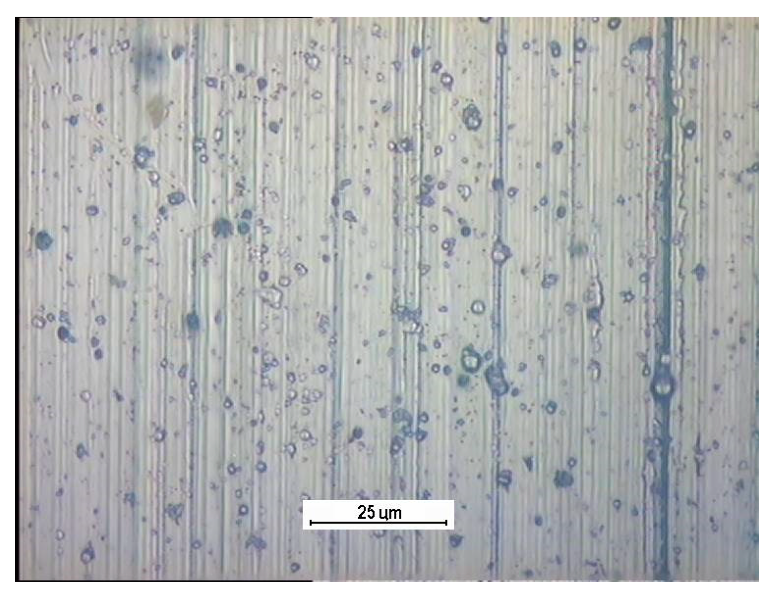 Coatings 09 00002 g020