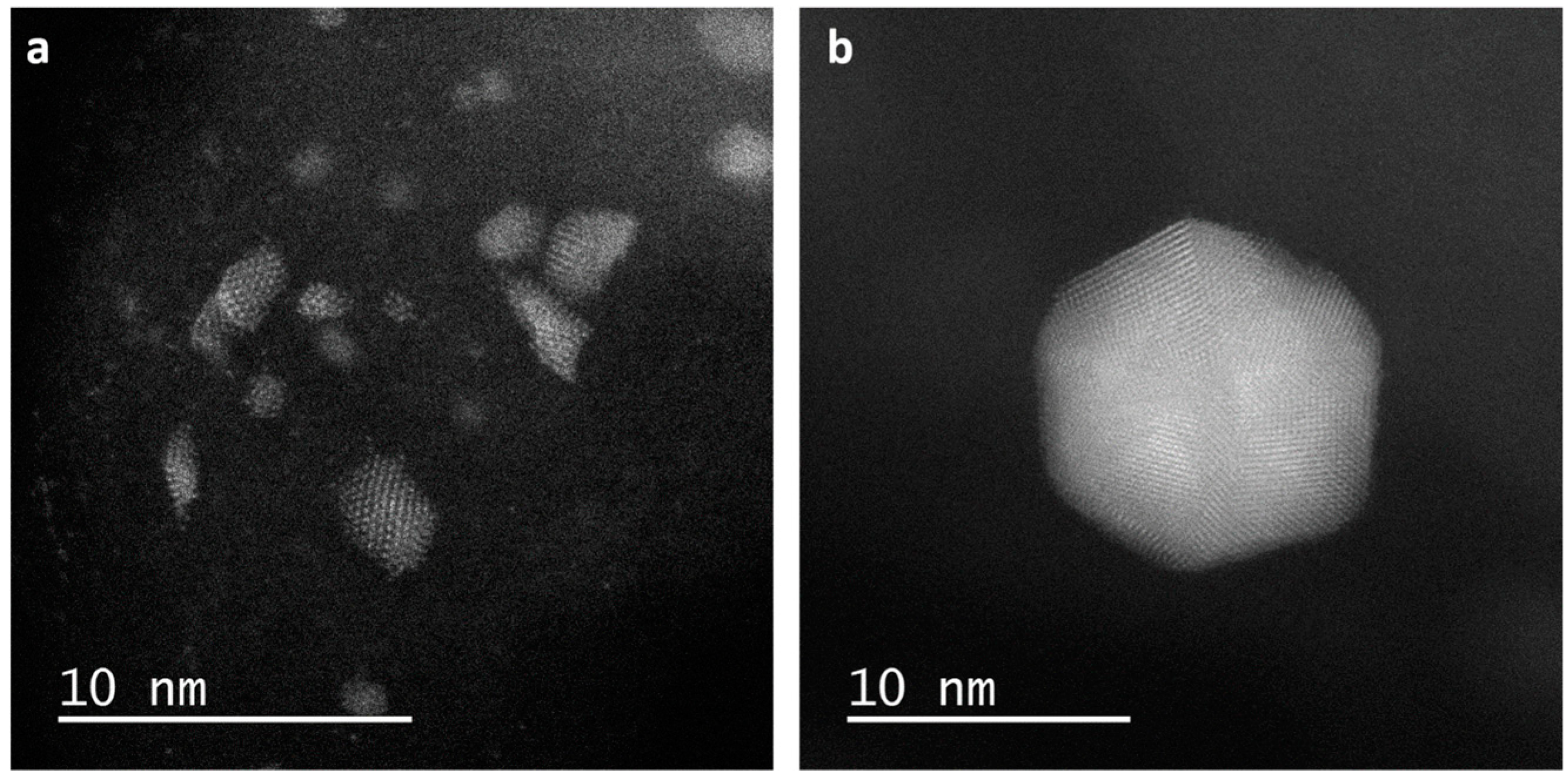 Coatings 09 00010 g001