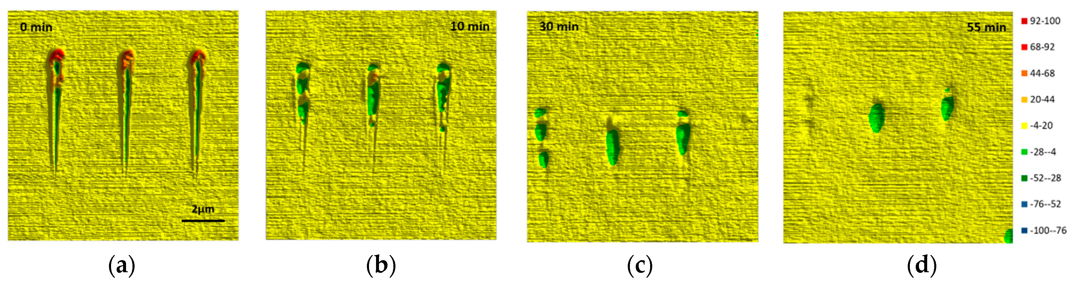 Coatings 09 00013 g0a1