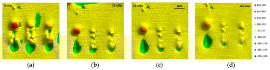 Coatings 09 00013 g0a3