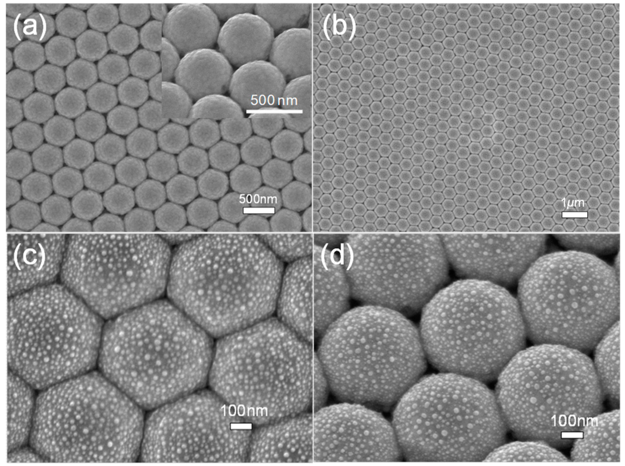 Coatings 09 00020 g002 Coatings 09 00020 g002