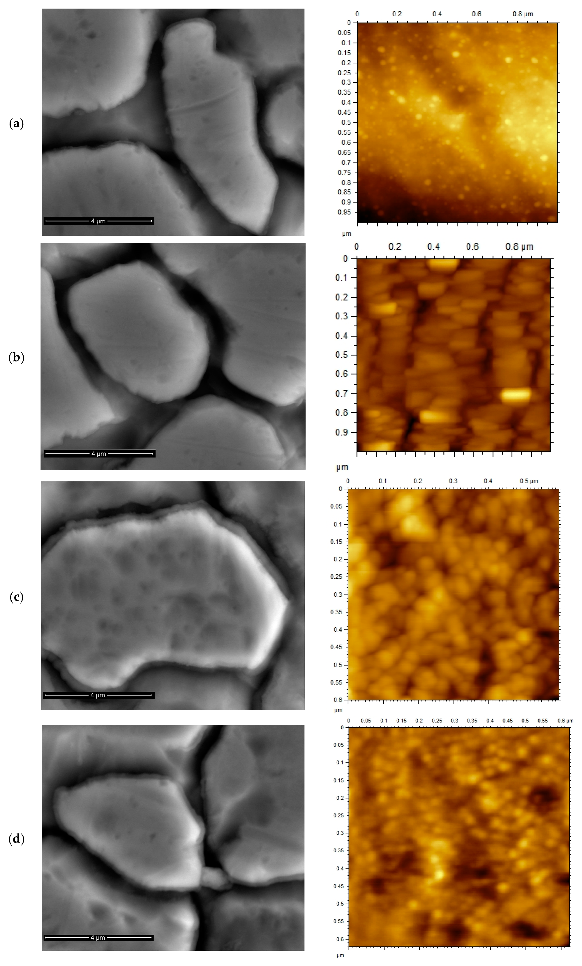Coatings 09 00022 g001