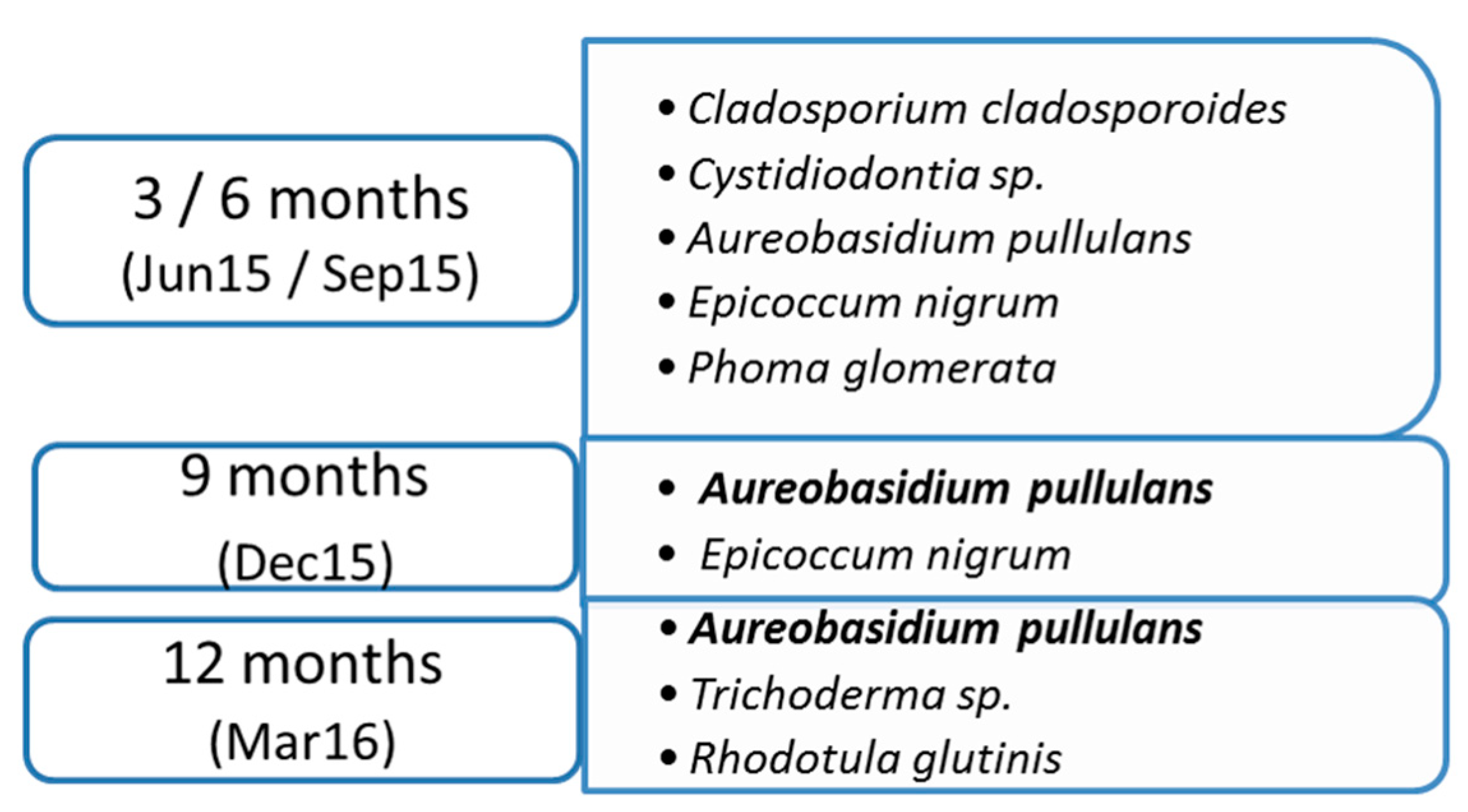 Coatings 09 00027 g006
