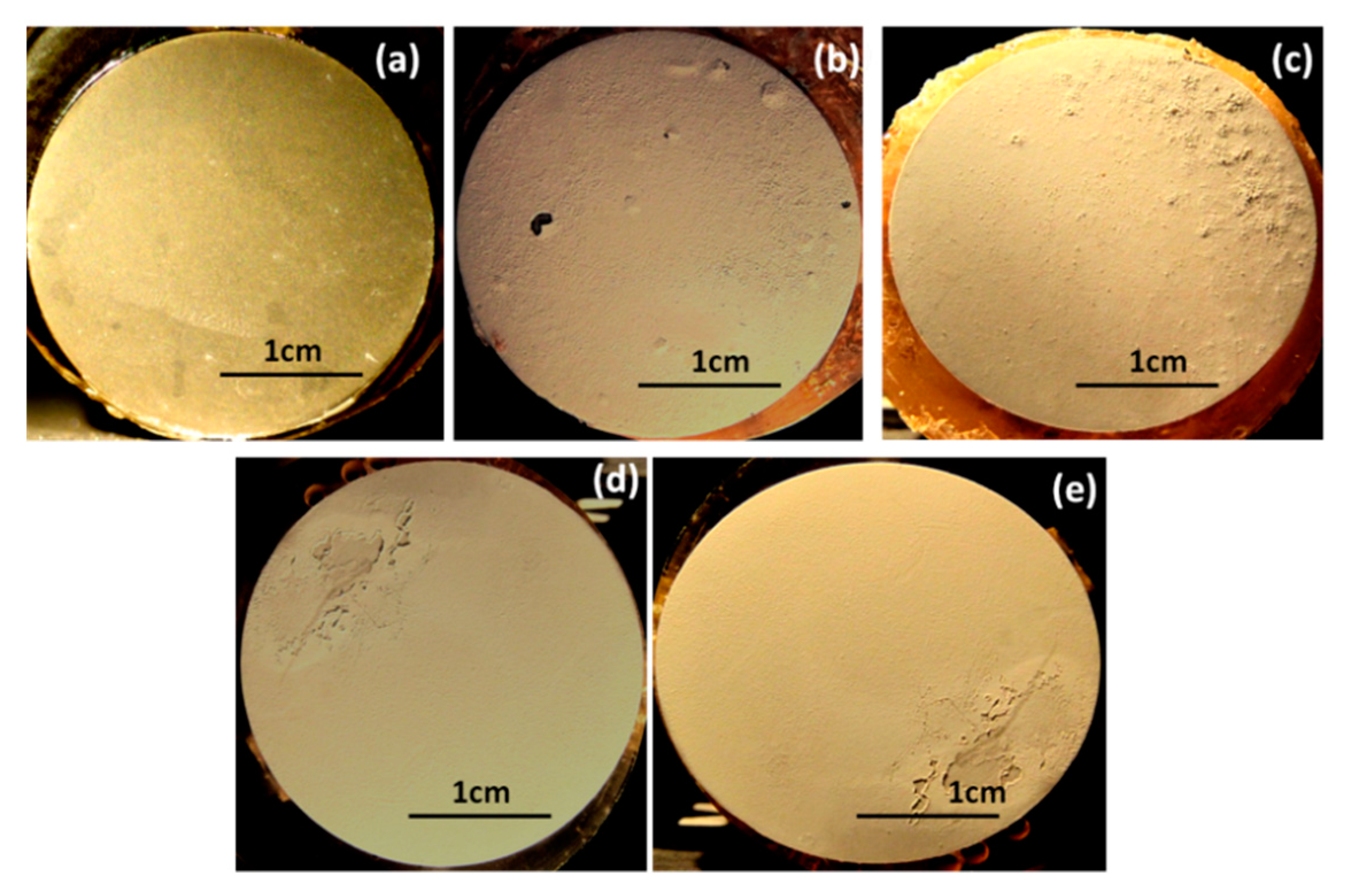 Coatings 09 00030 g010