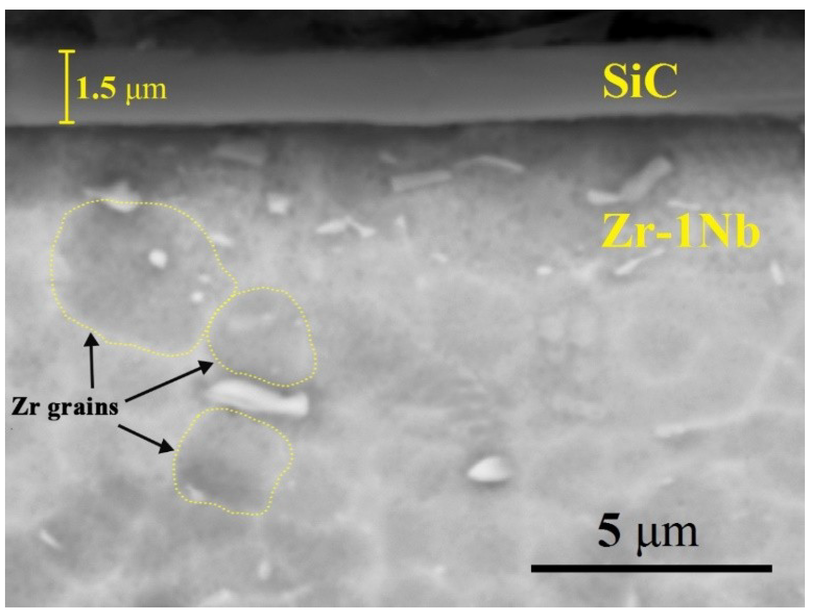 Coatings 09 00031 g001