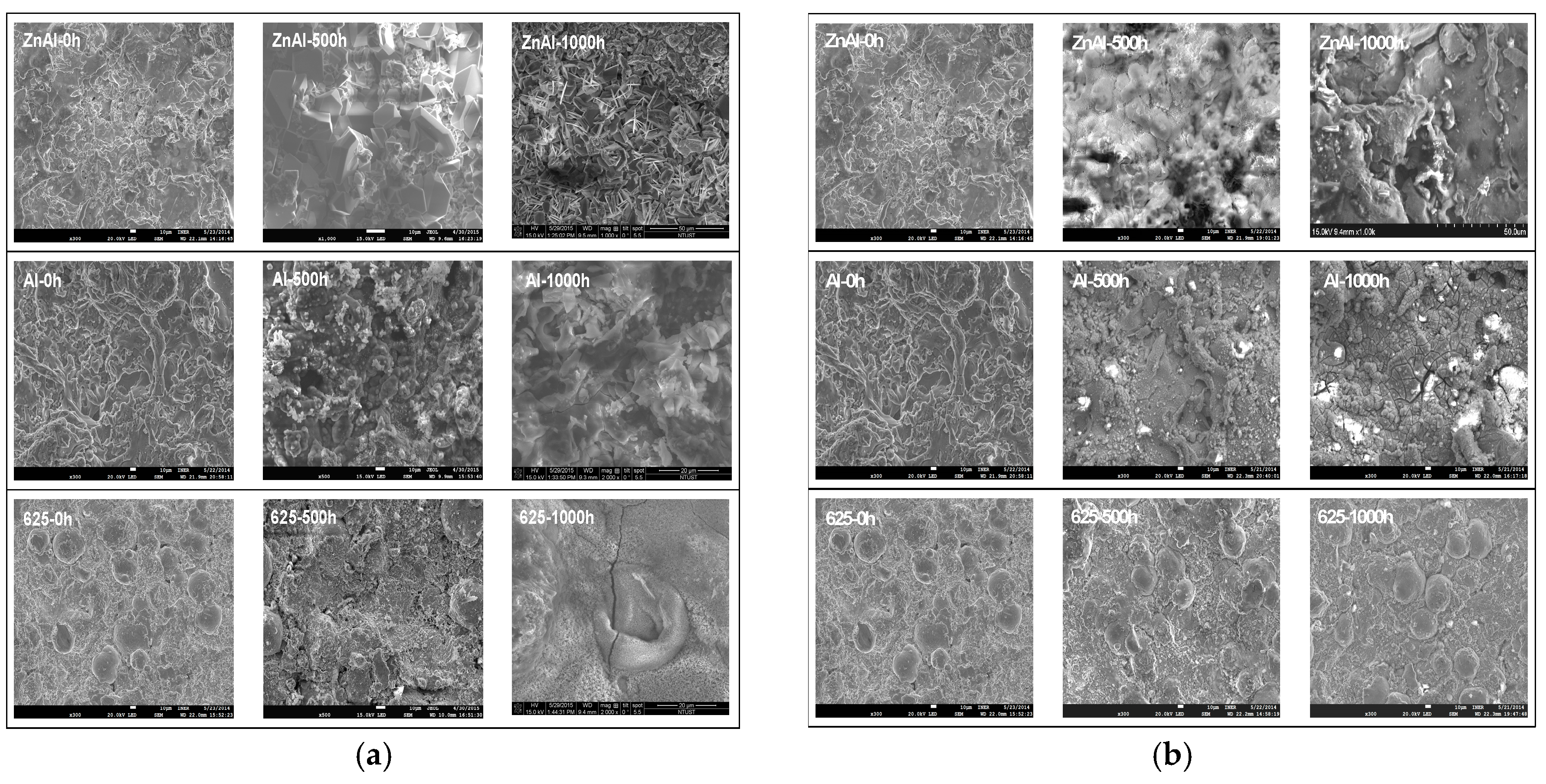 Coatings 09 00032 g003