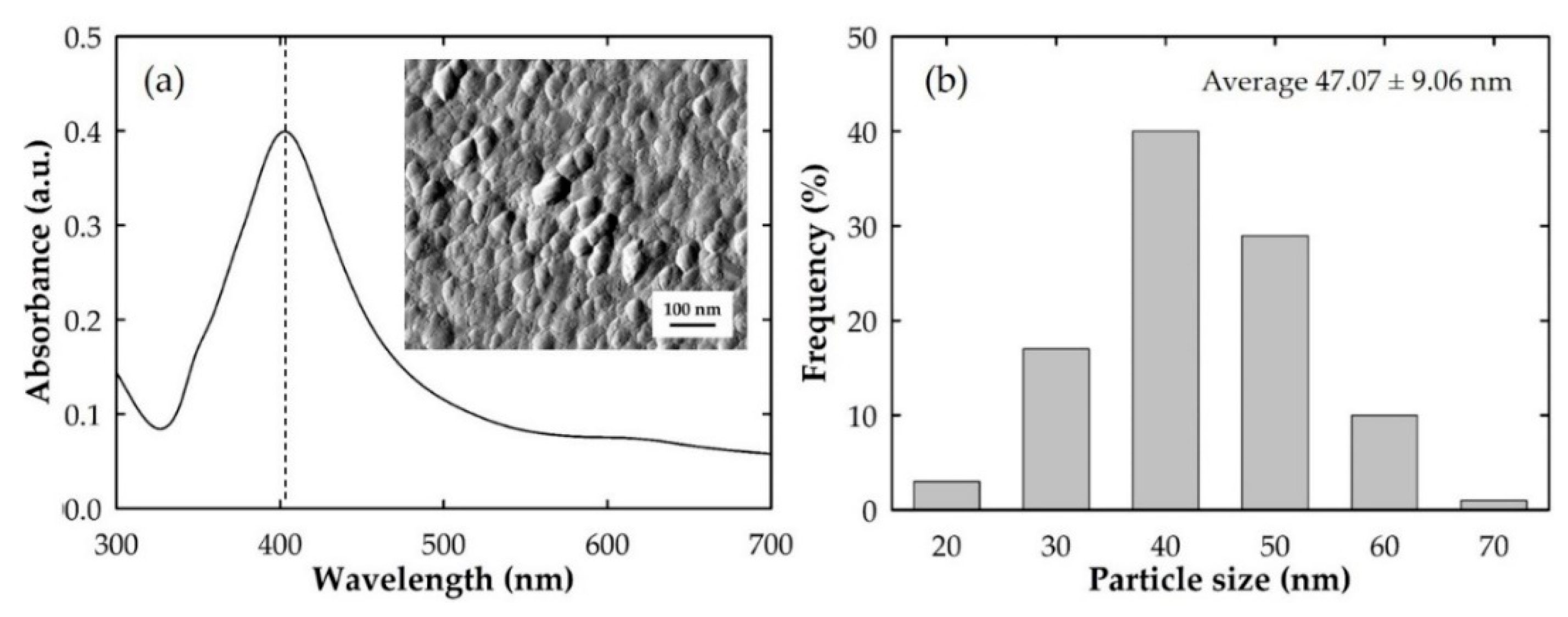 Coatings 09 00040 g001