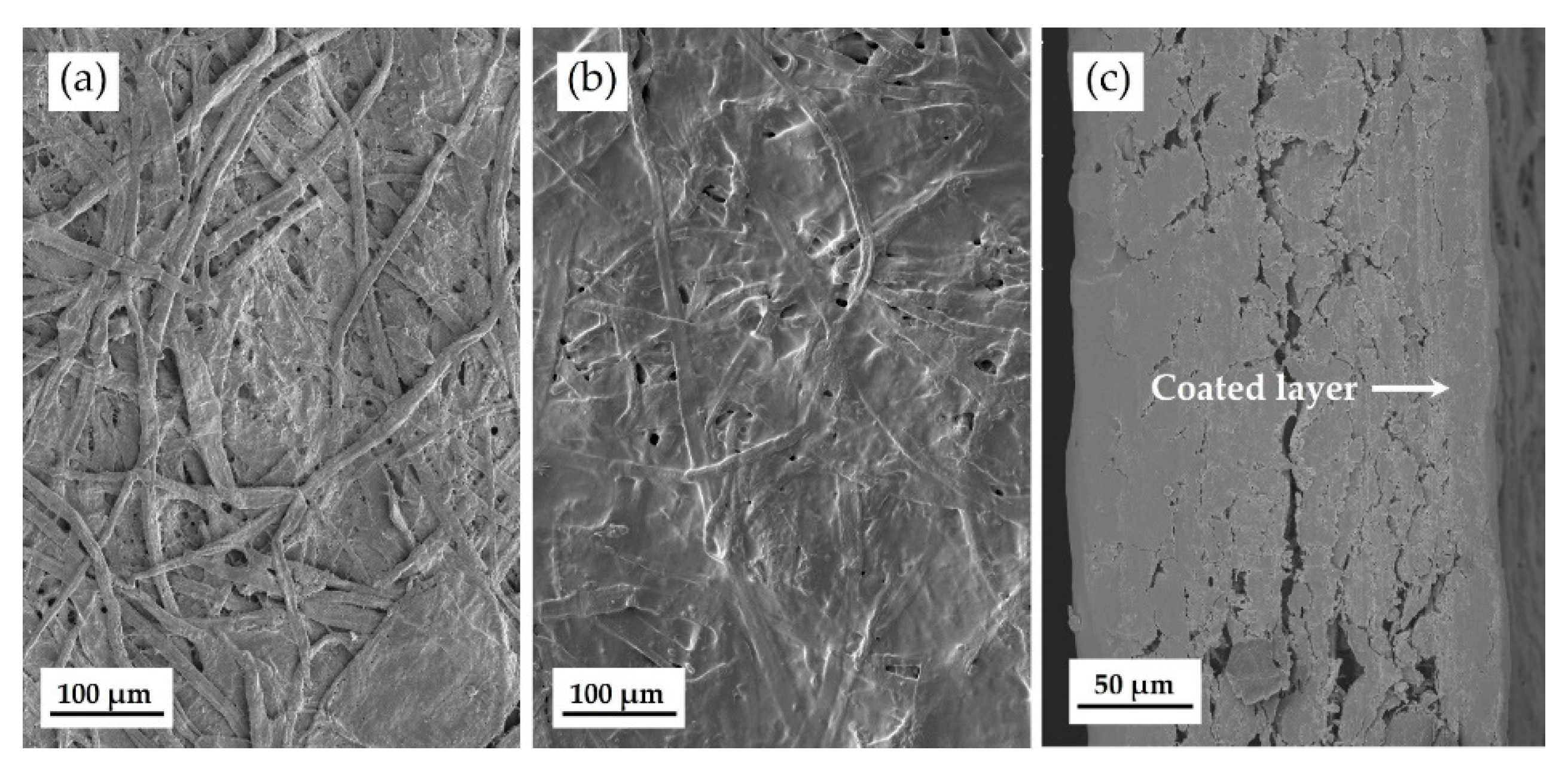 Coatings 09 00040 g003