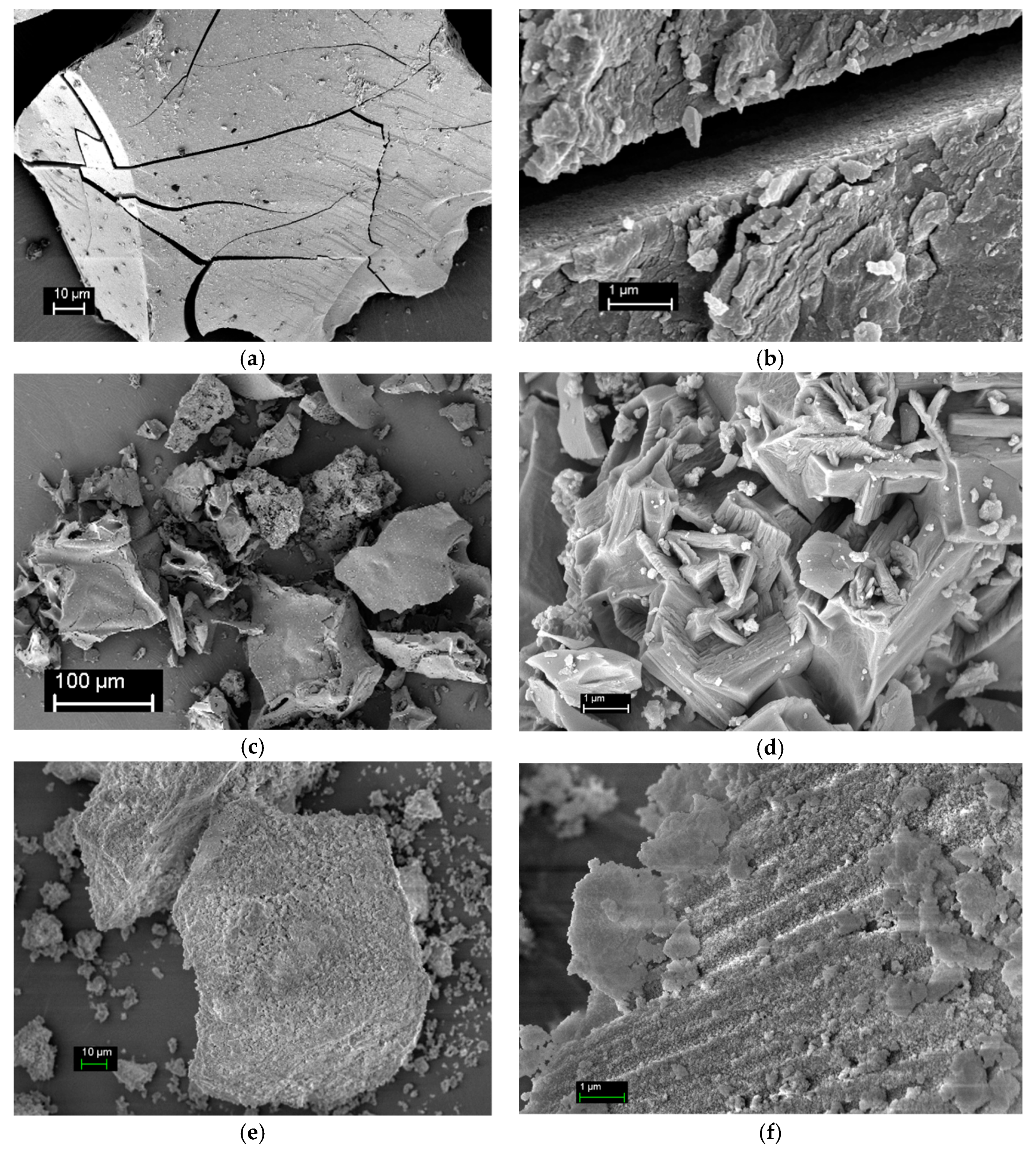 Coatings 09 00041 g003