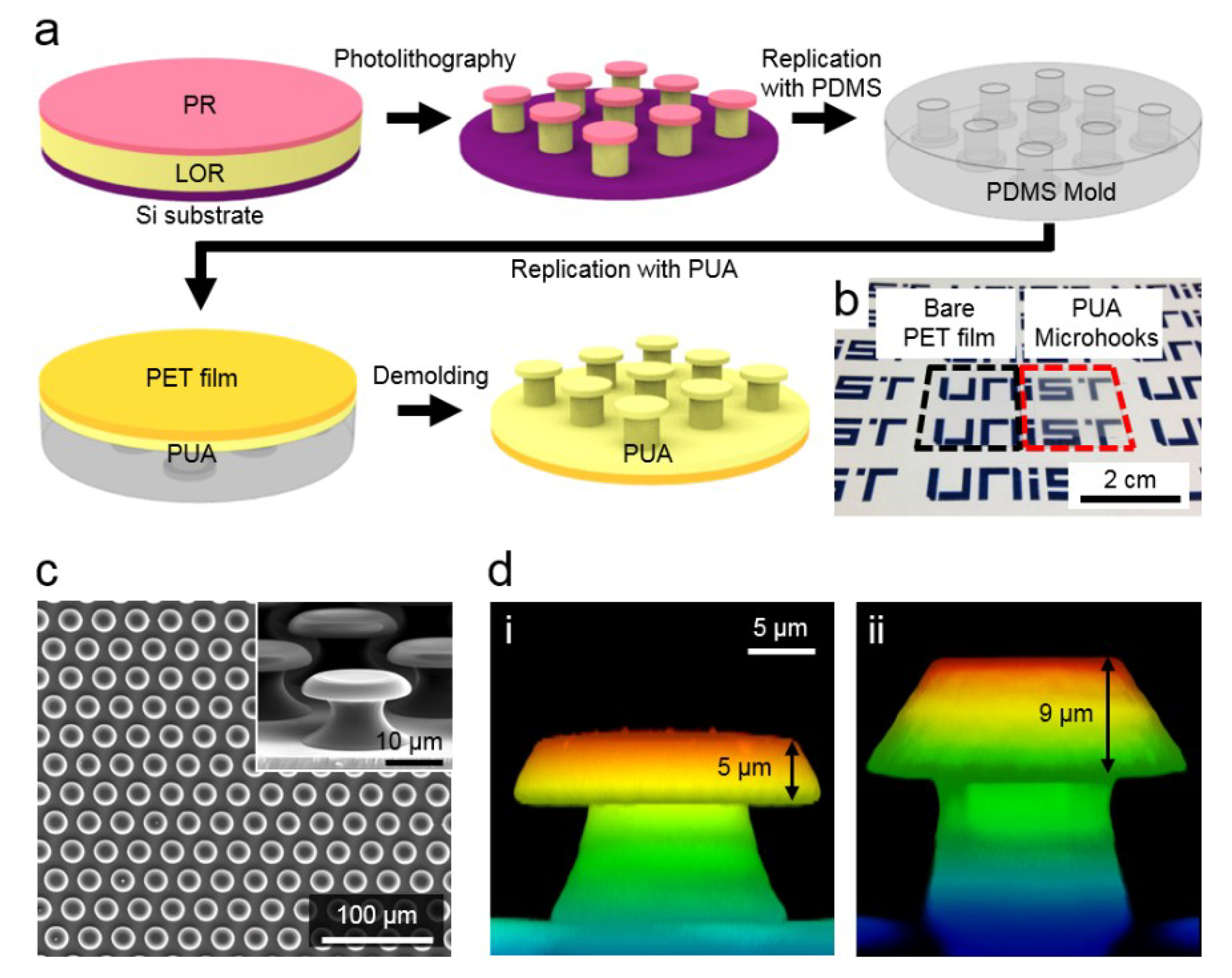 Coatings 09 00048 g001
