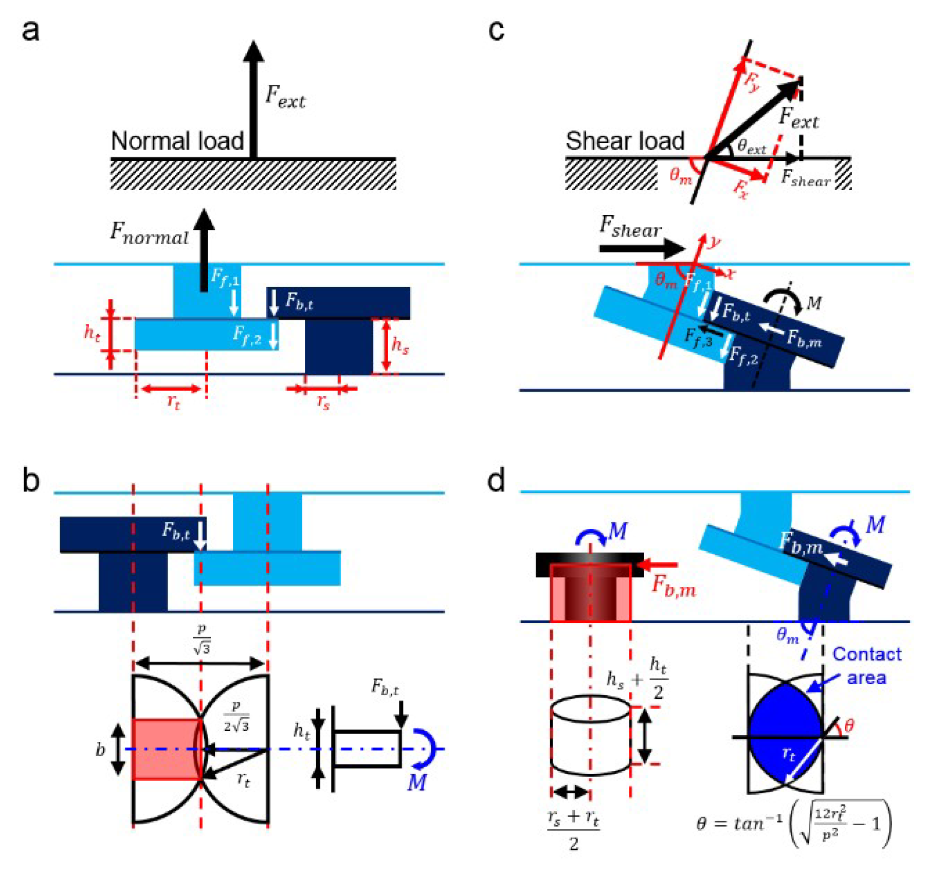 Coatings 09 00048 g004