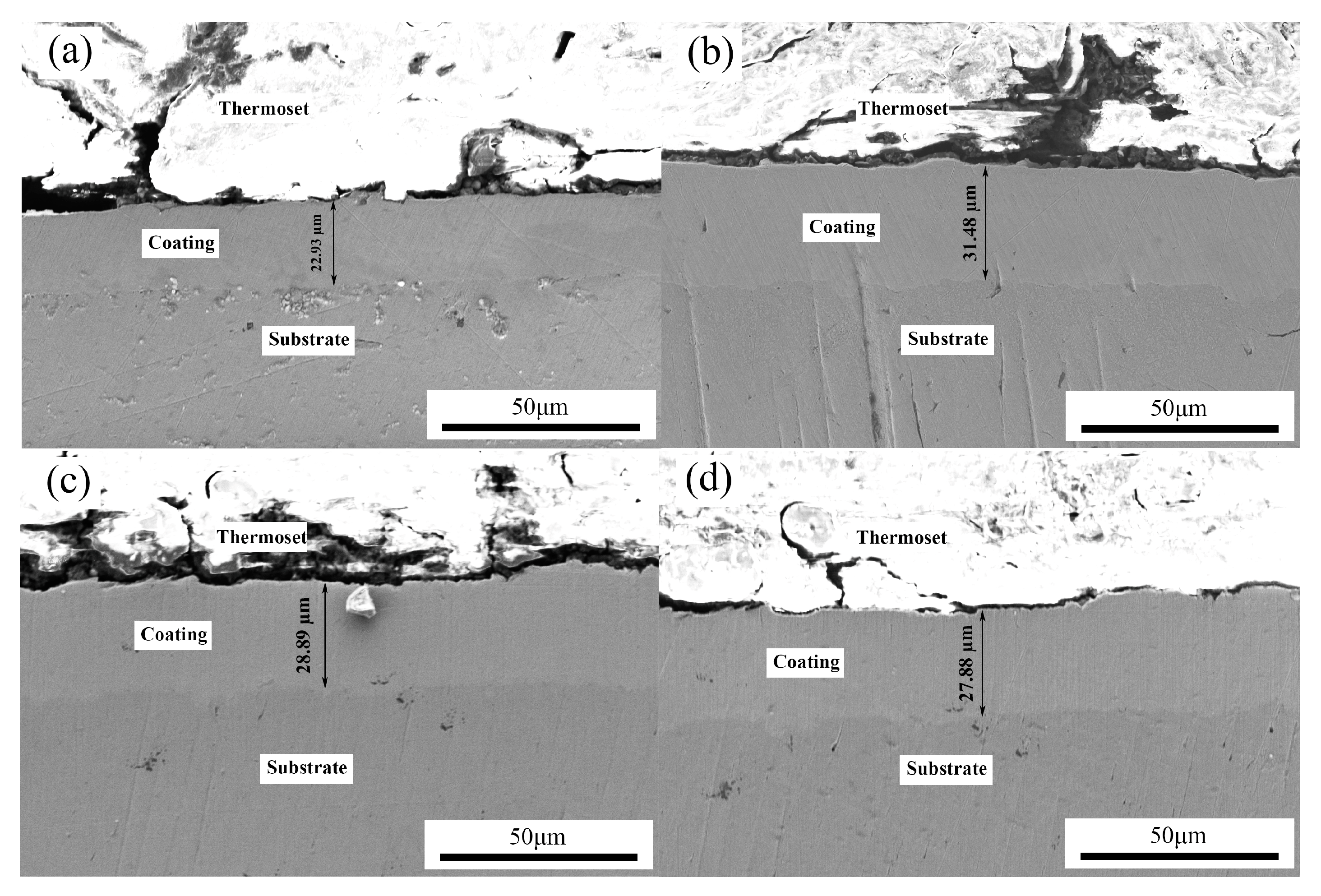 Coatings 09 00050 g005 Coatings 09 00050 g005