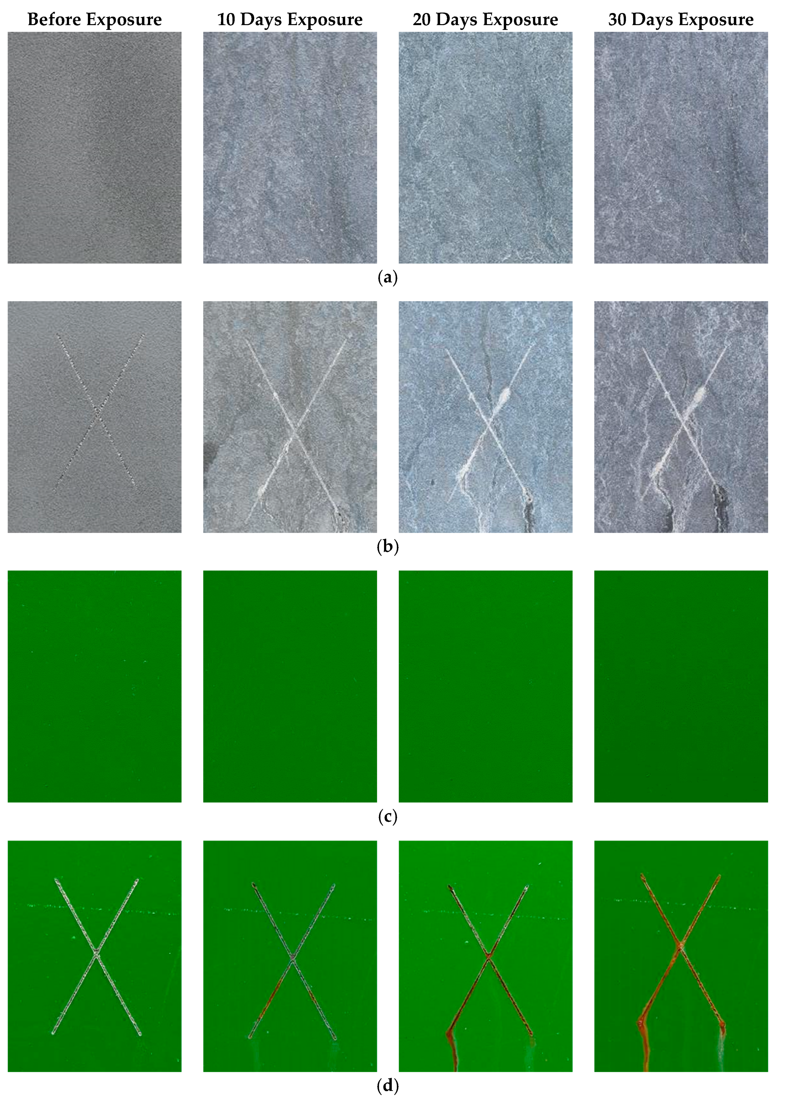 Coatings 09 00052 g001