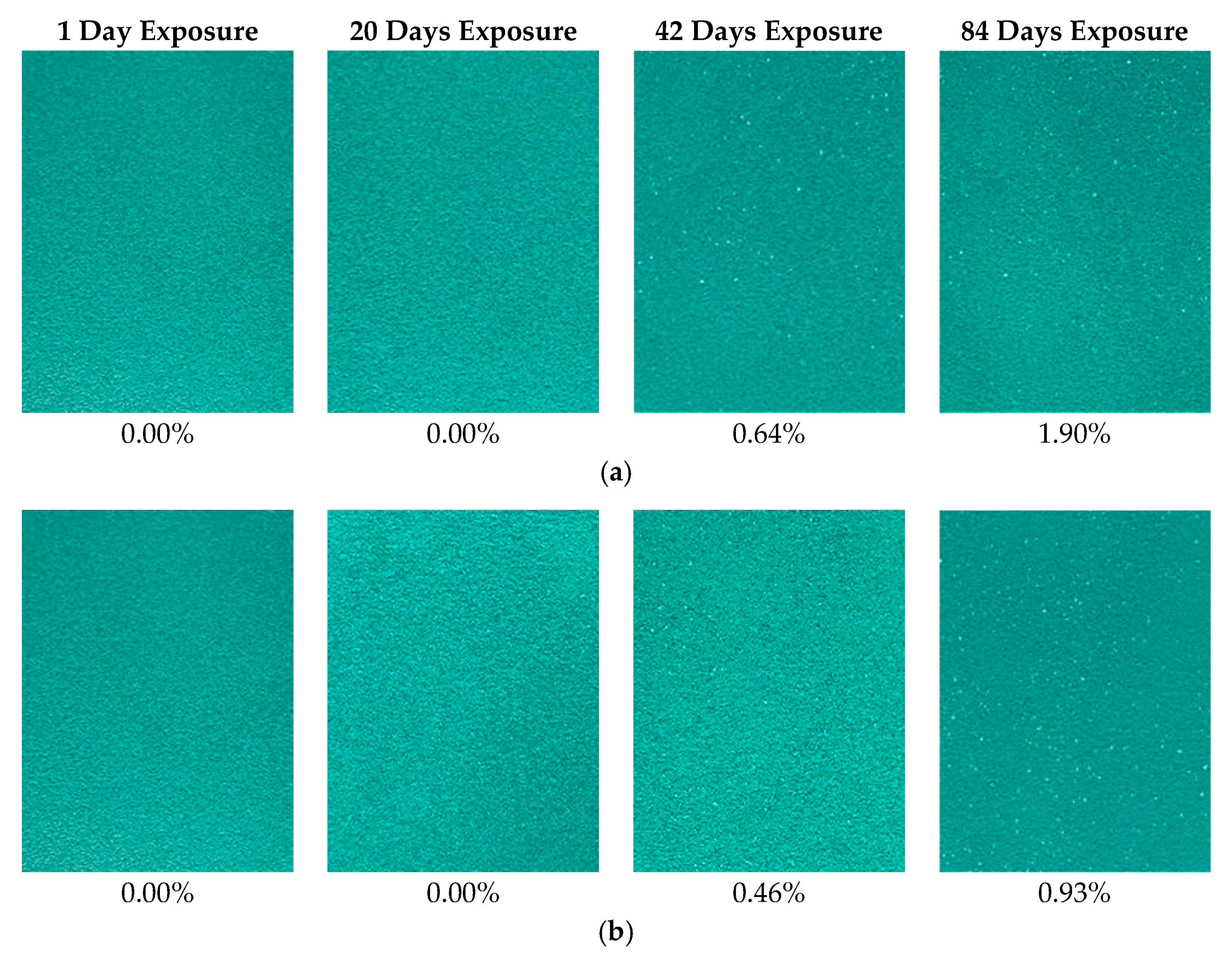 Coatings 09 00052 g003a