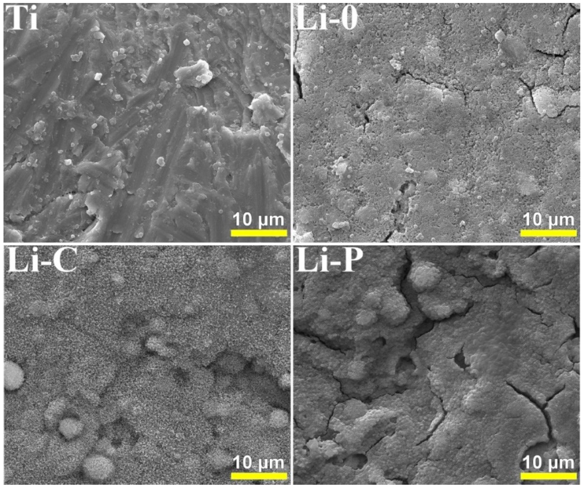 Coatings 09 00054 g012
